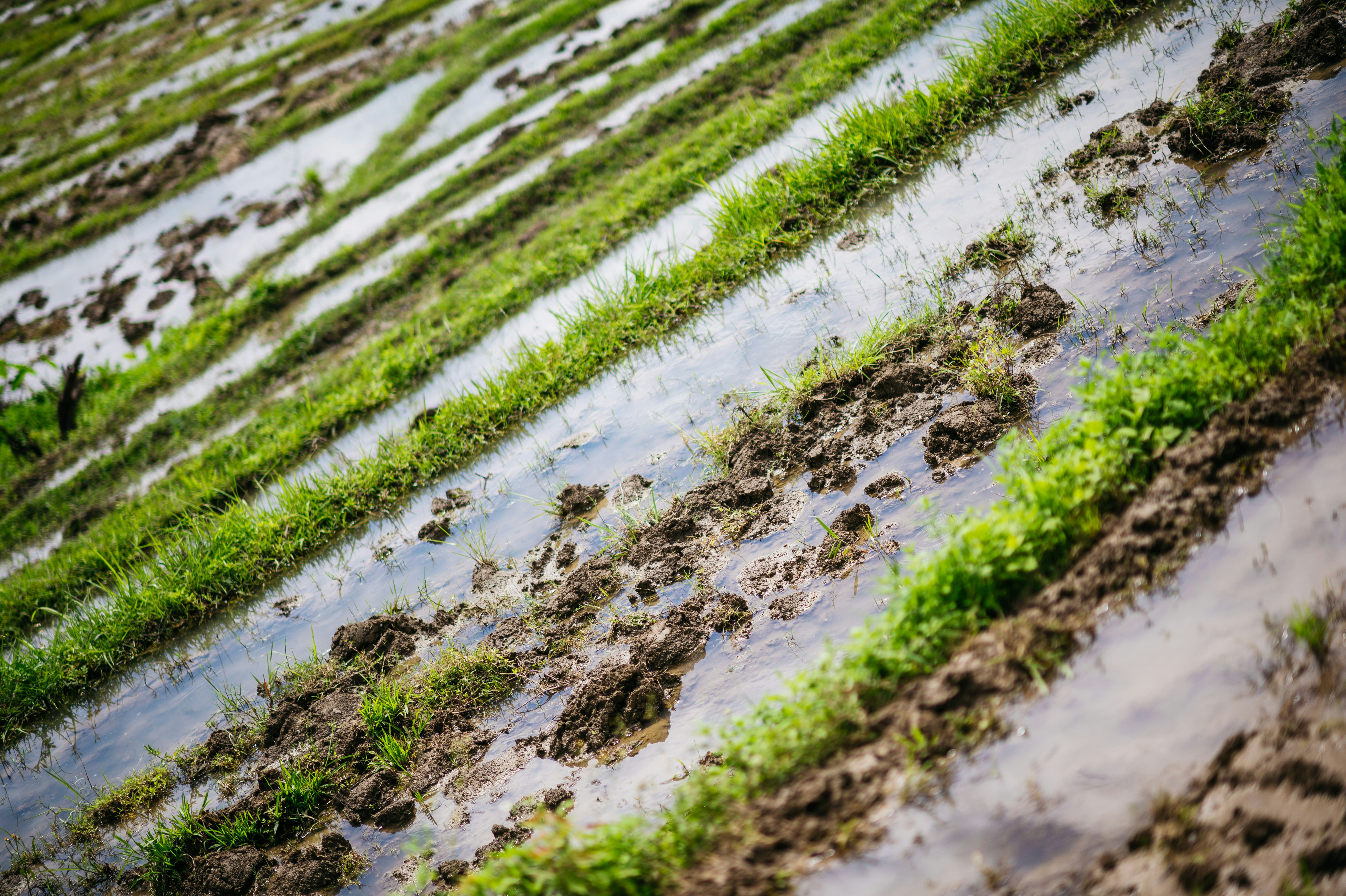 Photo by chuttersnap