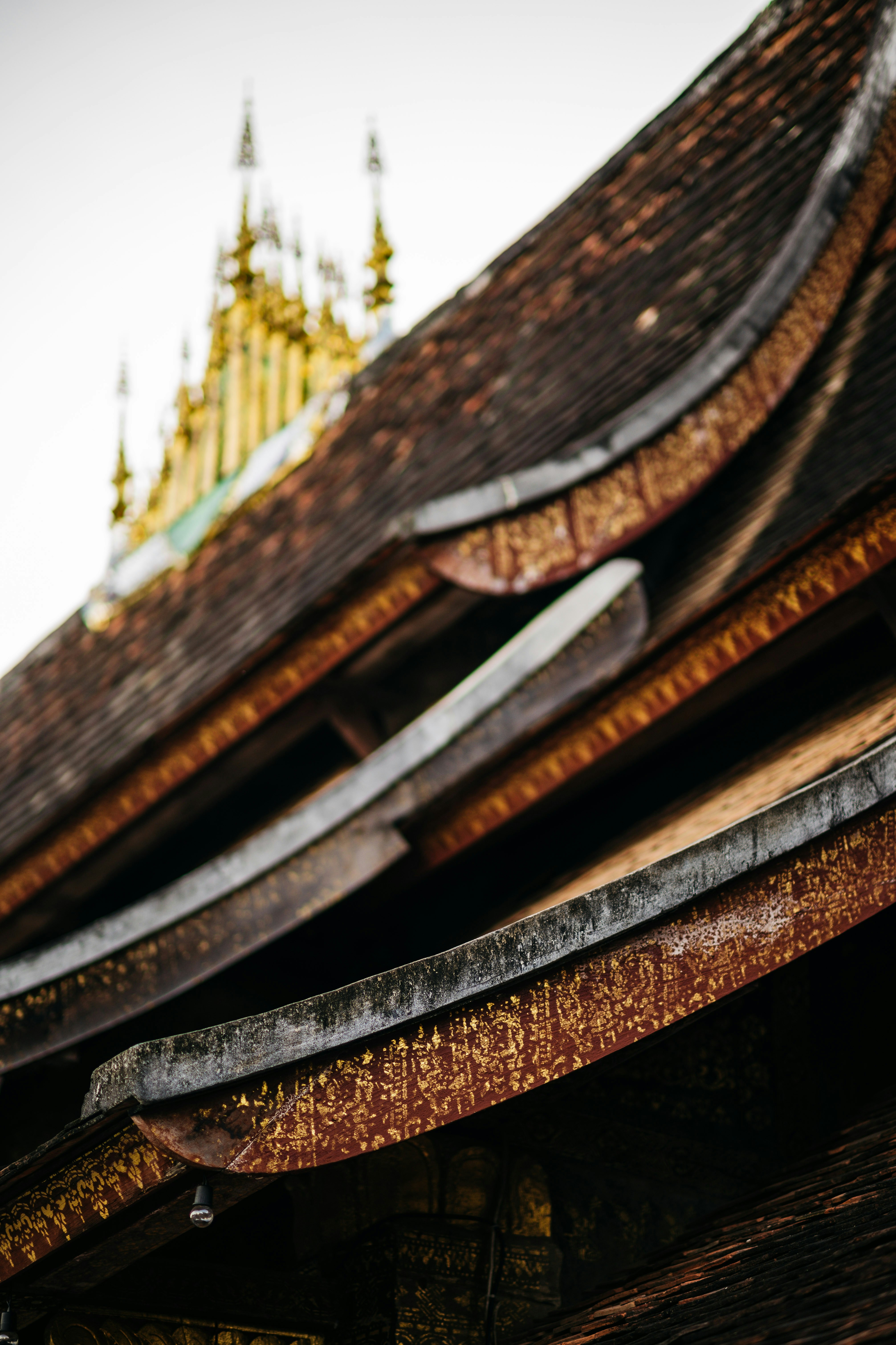 Photo by chuttersnap