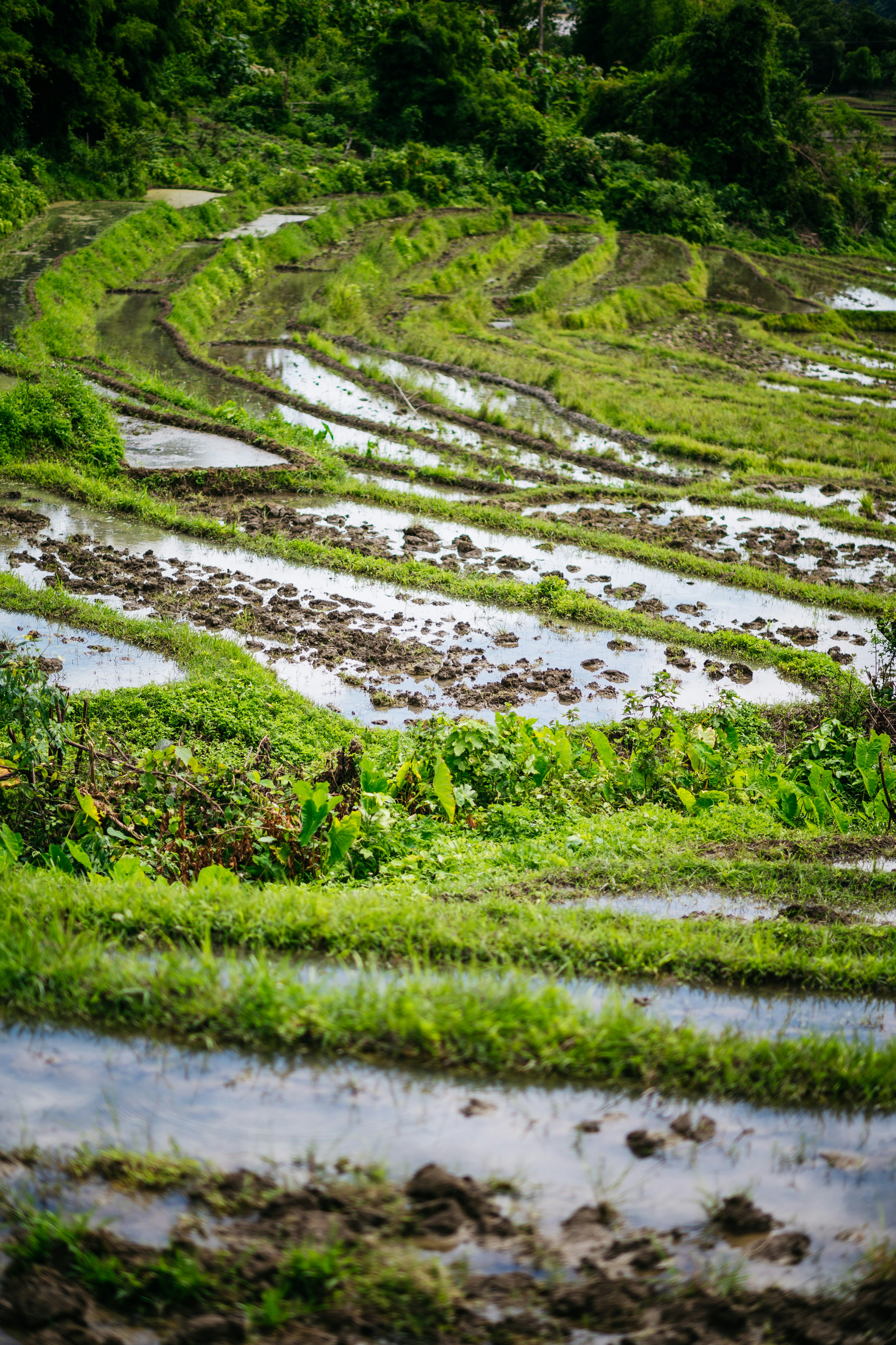 Photo by chuttersnap