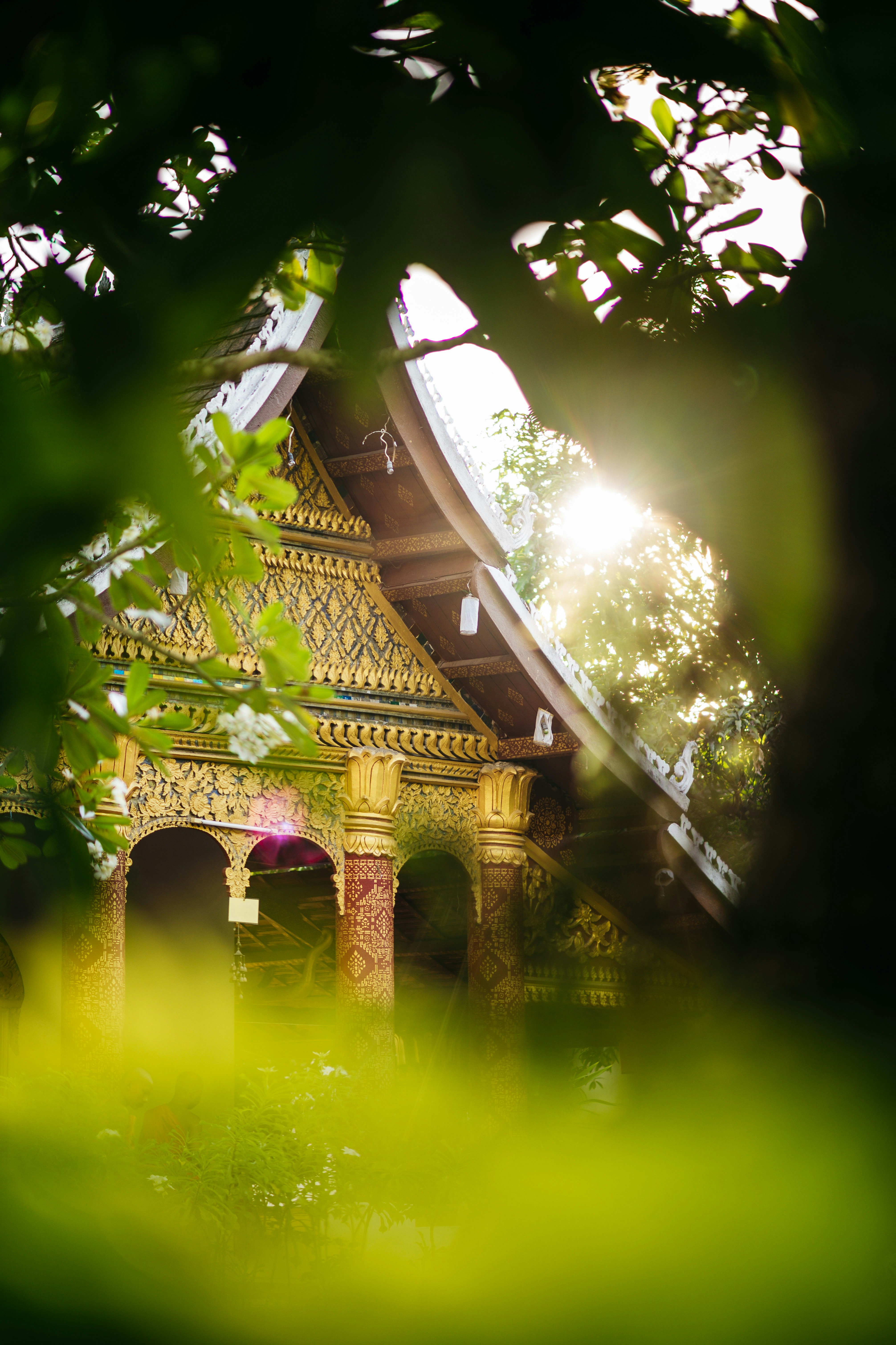 Photo by chuttersnap