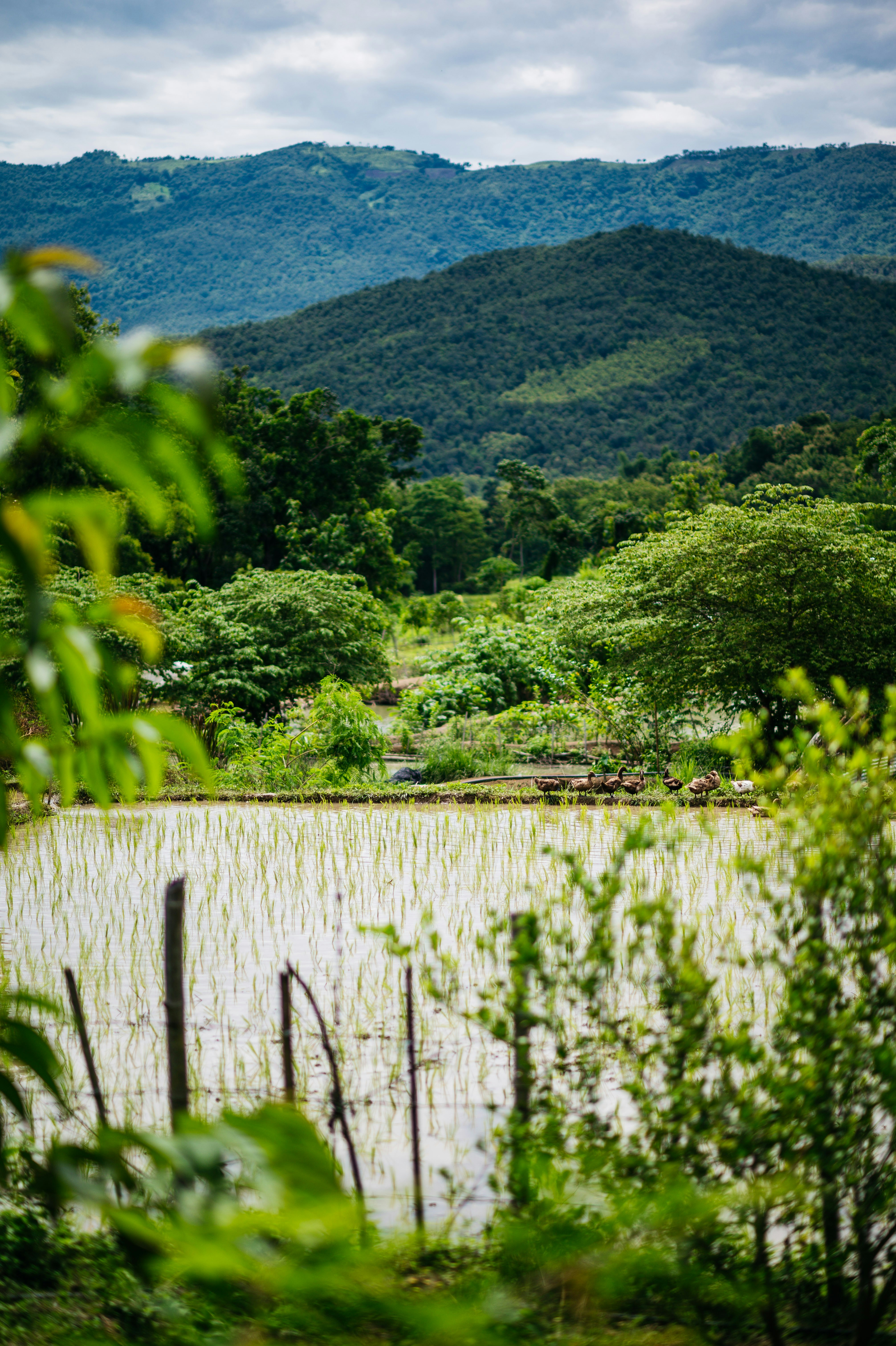 Photo by chuttersnap