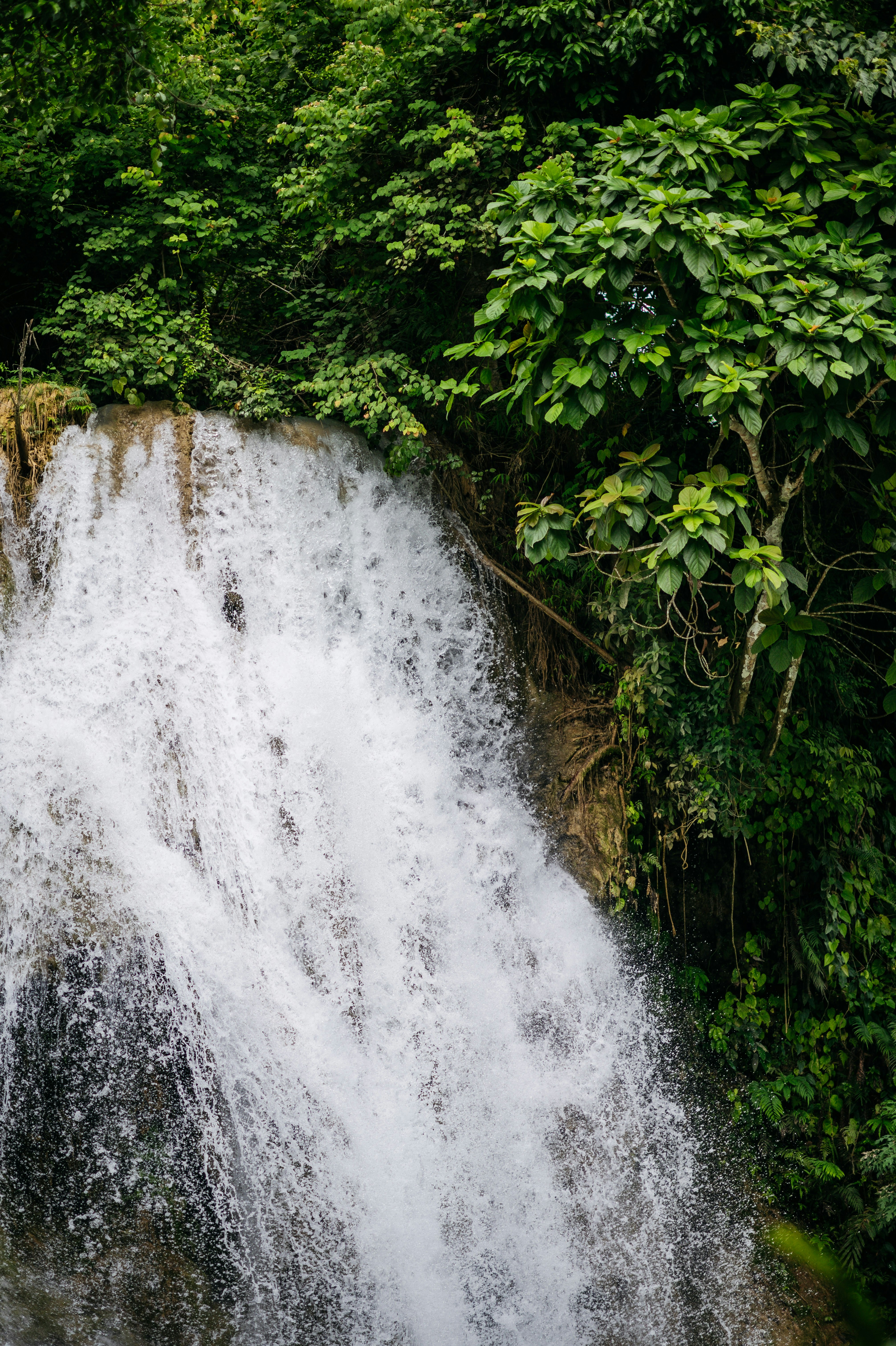 Photo by chuttersnap