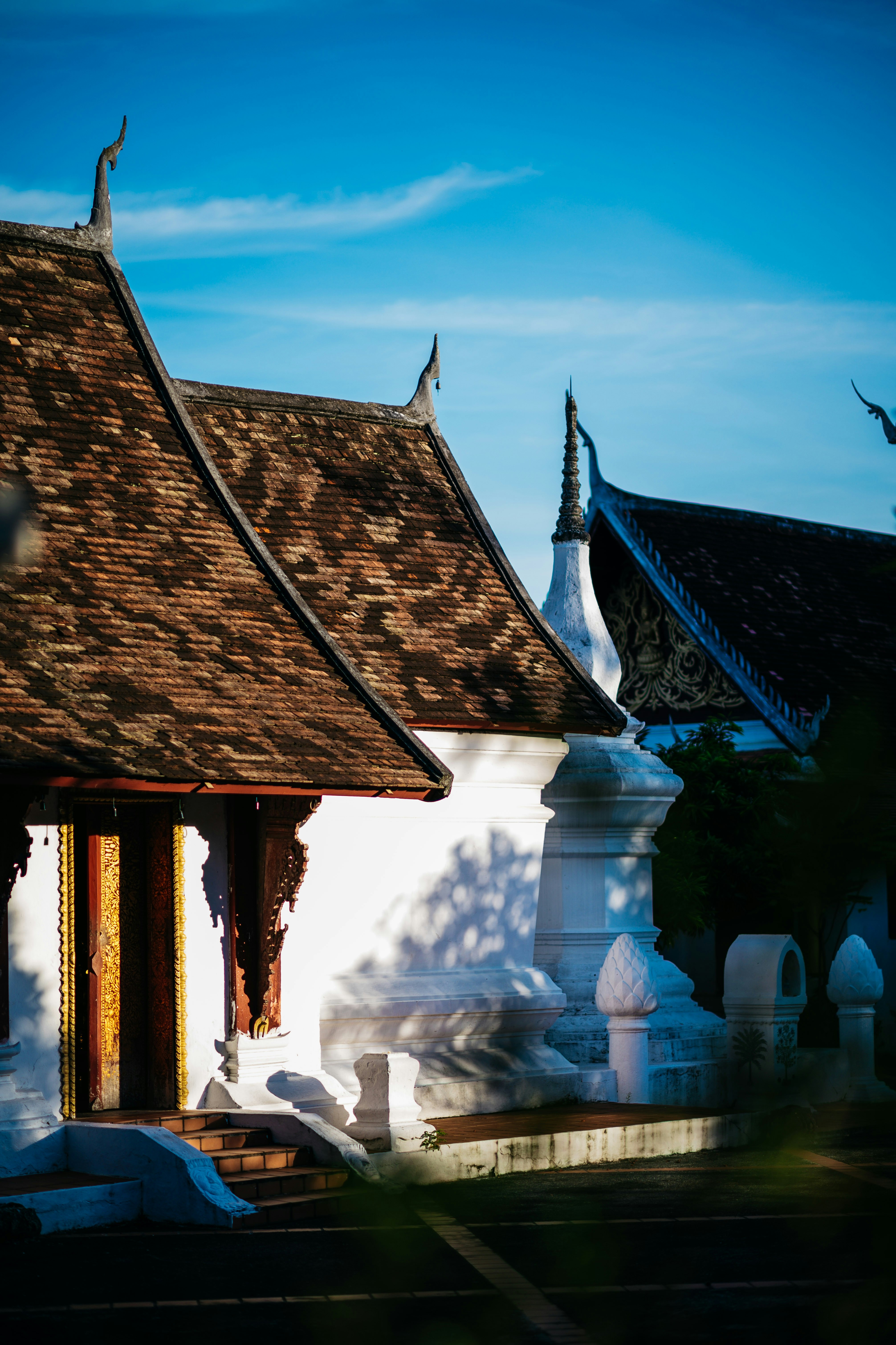 Photo by chuttersnap