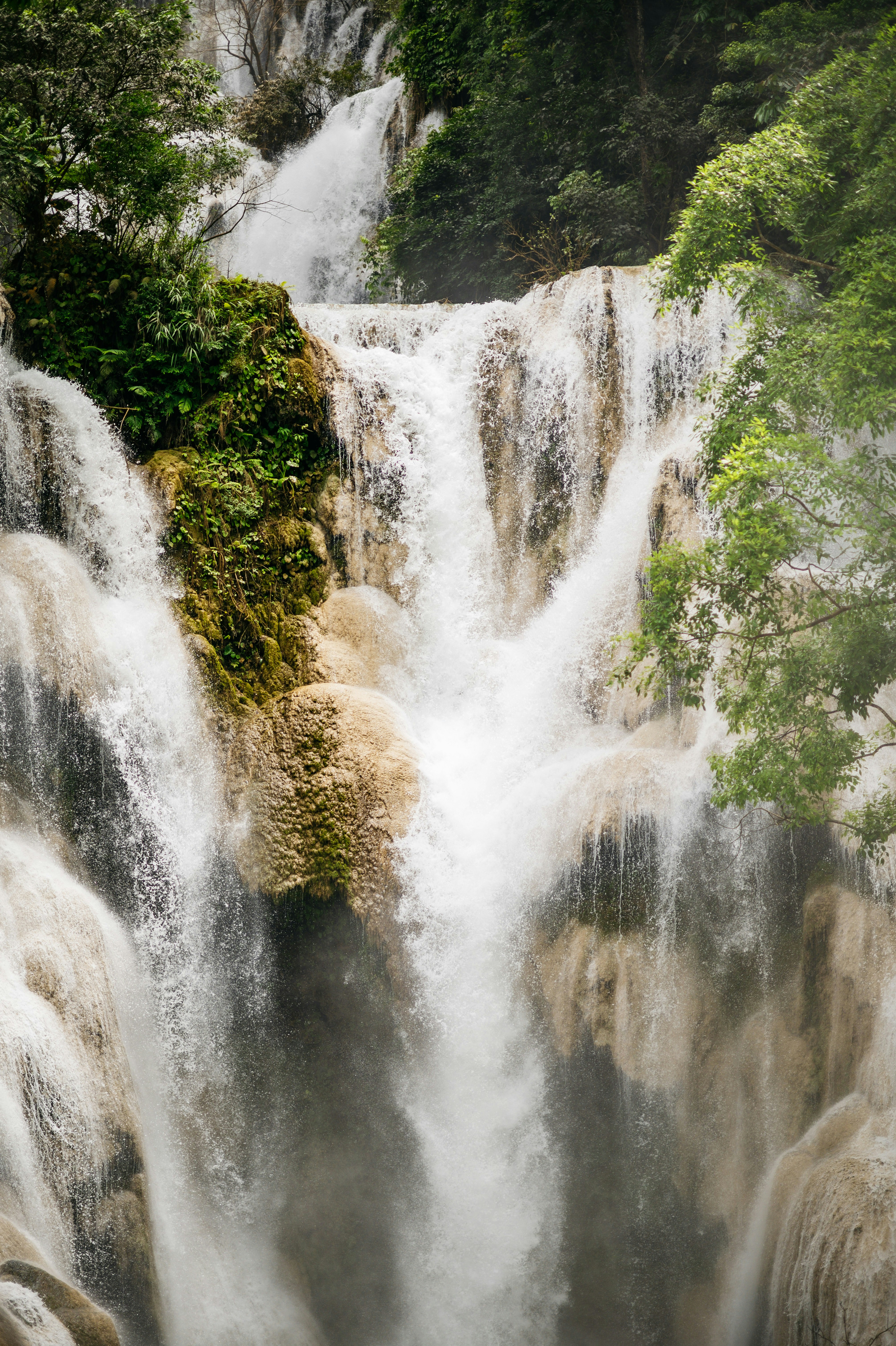 Photo by chuttersnap