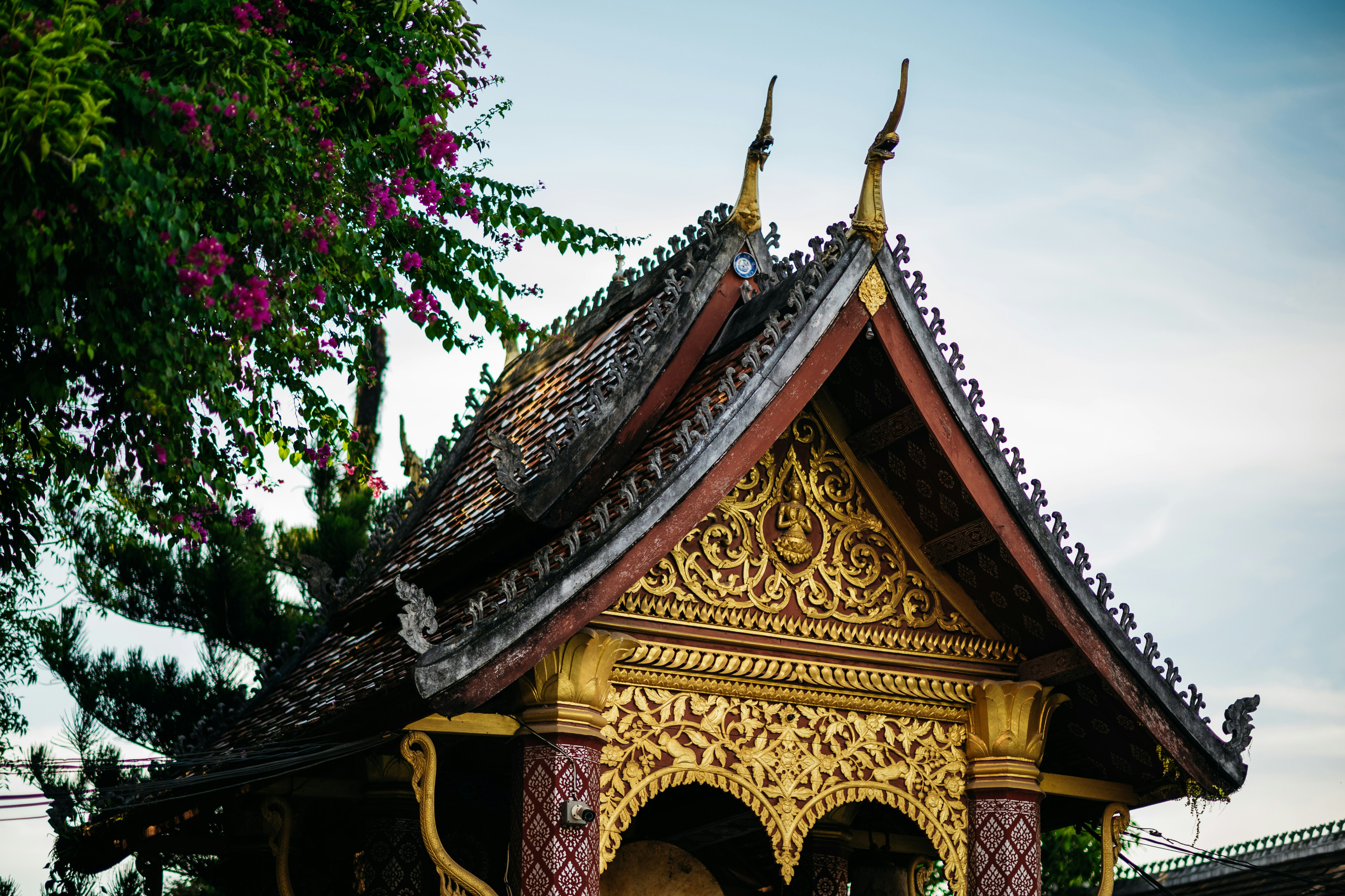 Photo by chuttersnap