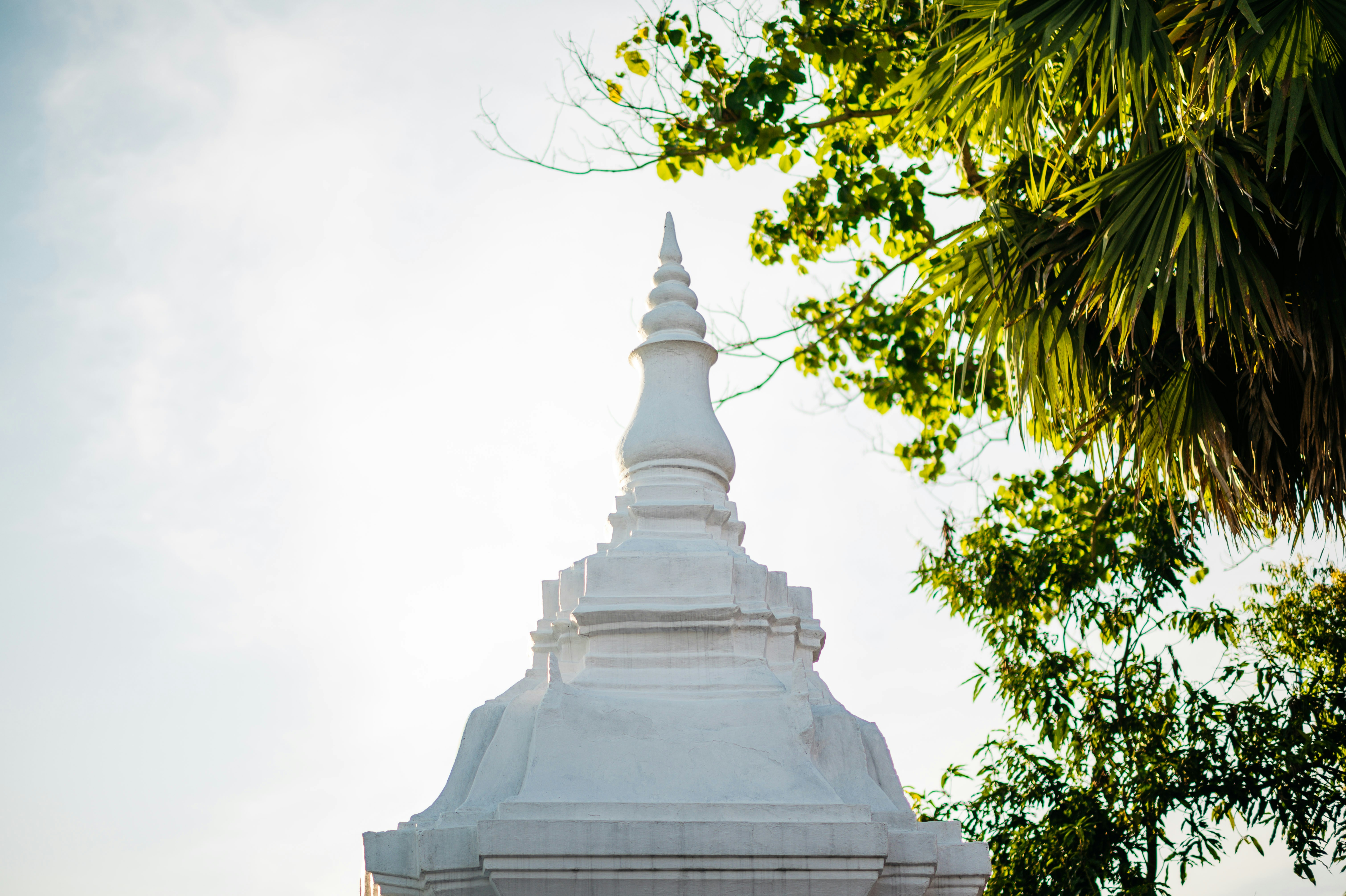 Photo by chuttersnap