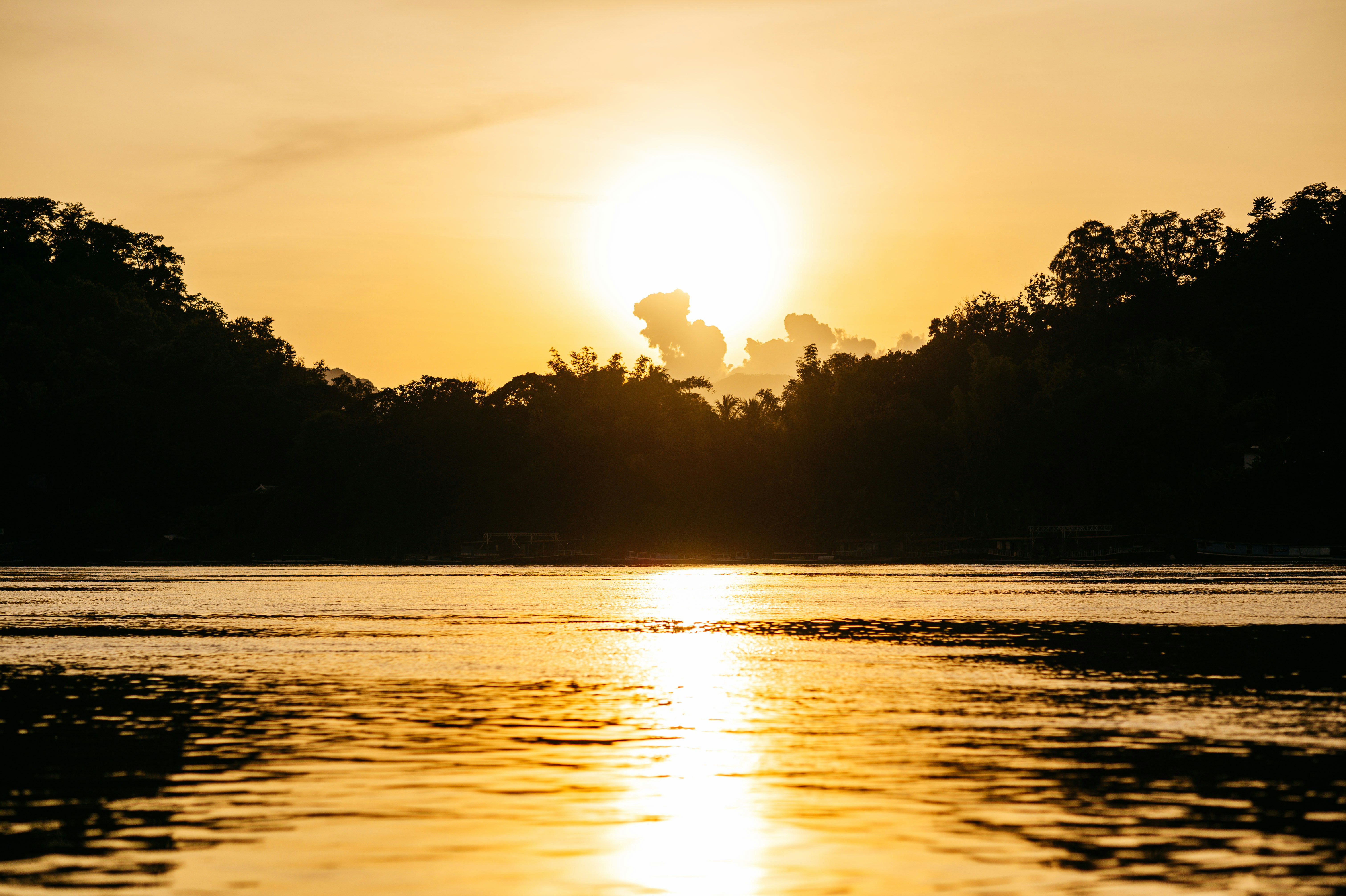 Photo by chuttersnap