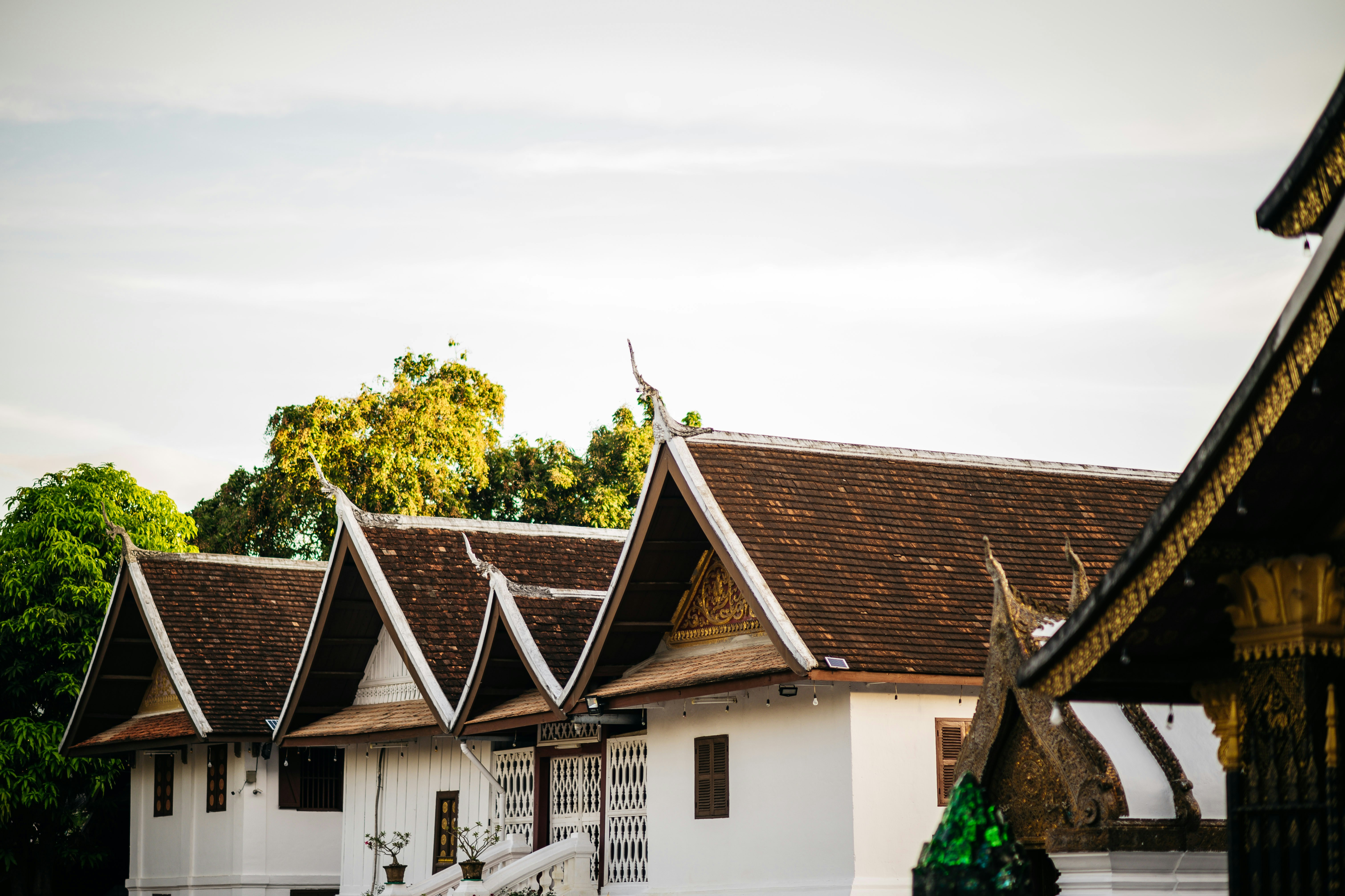 Photo by chuttersnap