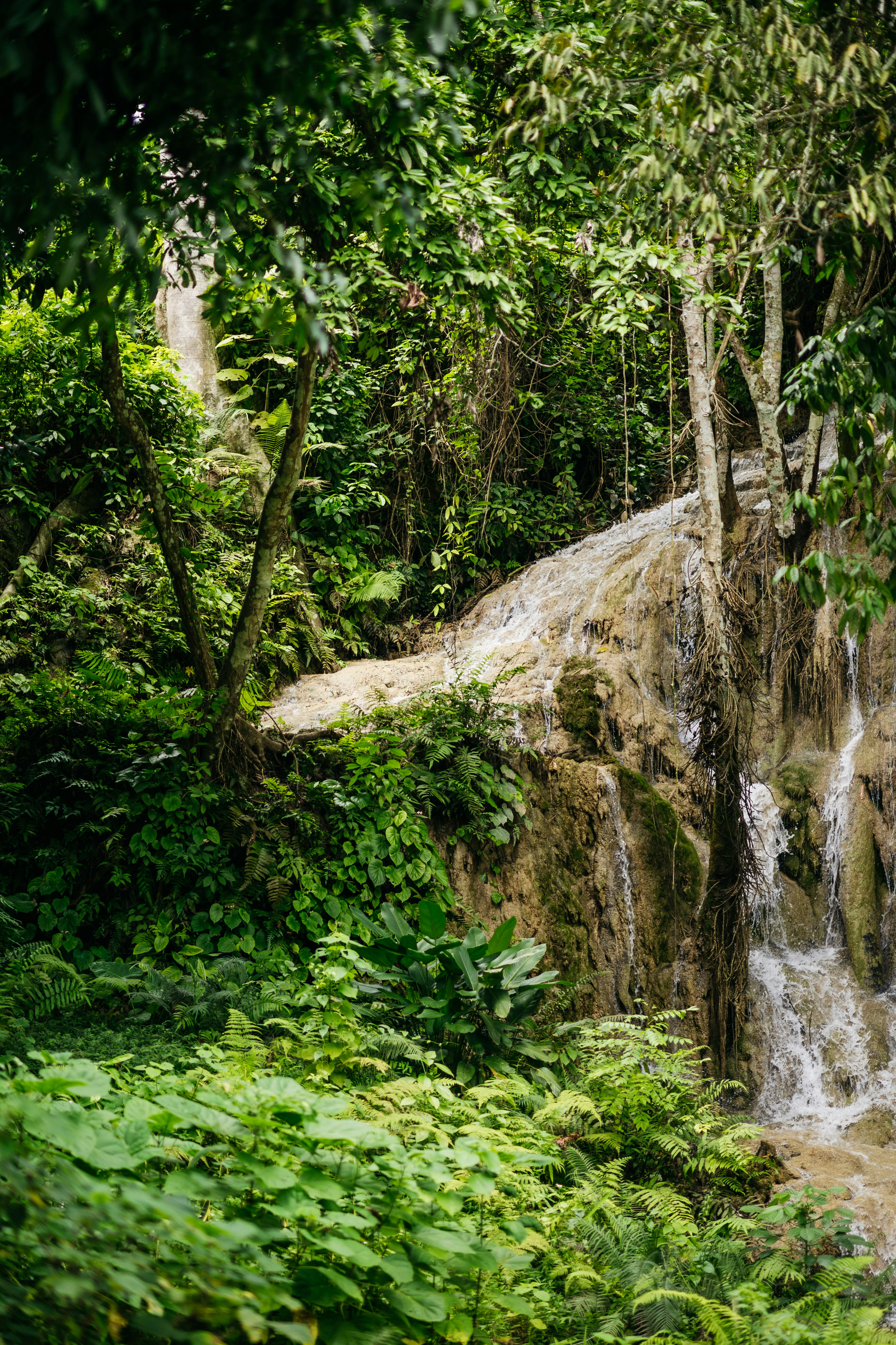 Photo by chuttersnap