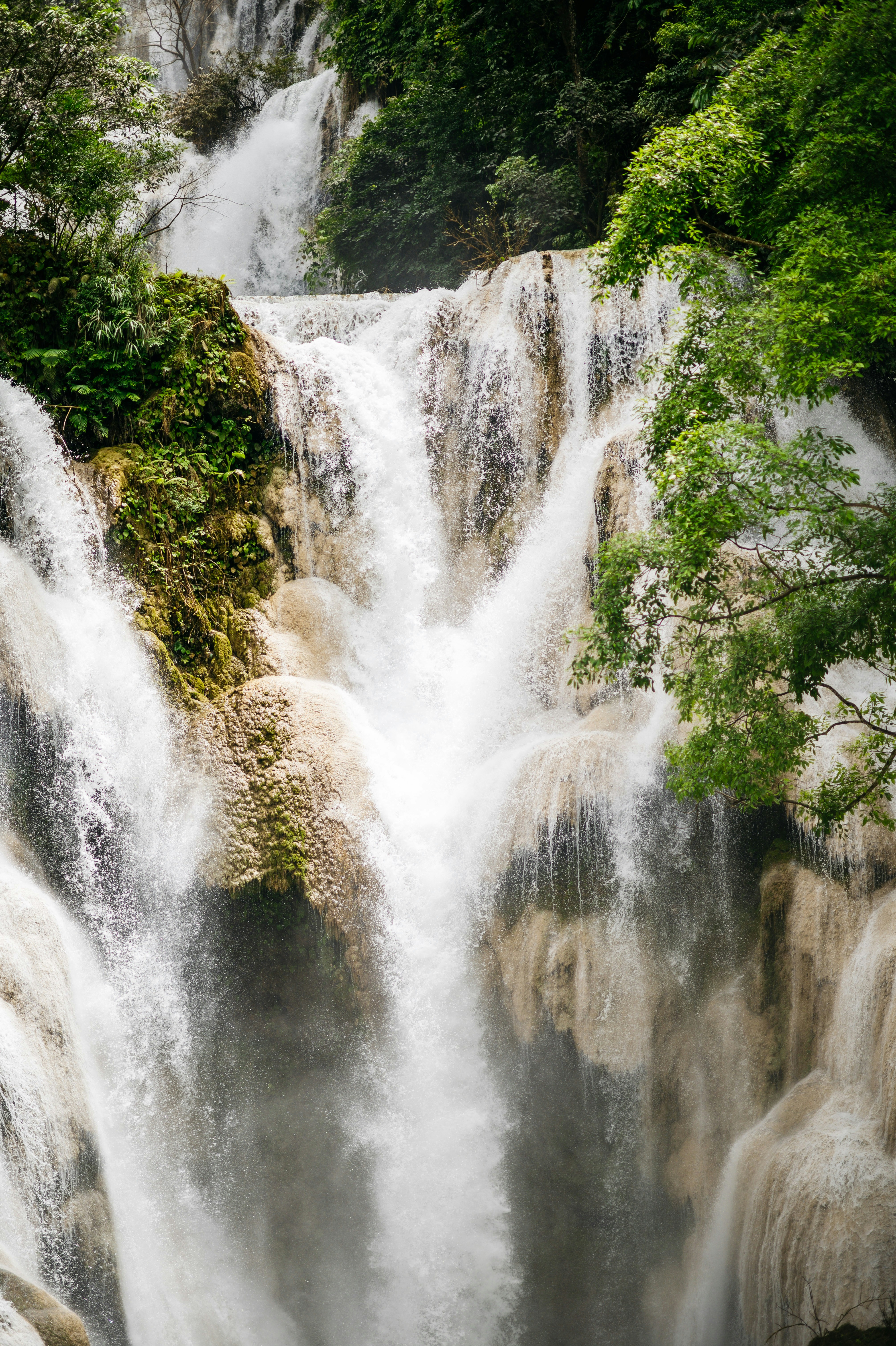 Photo by chuttersnap