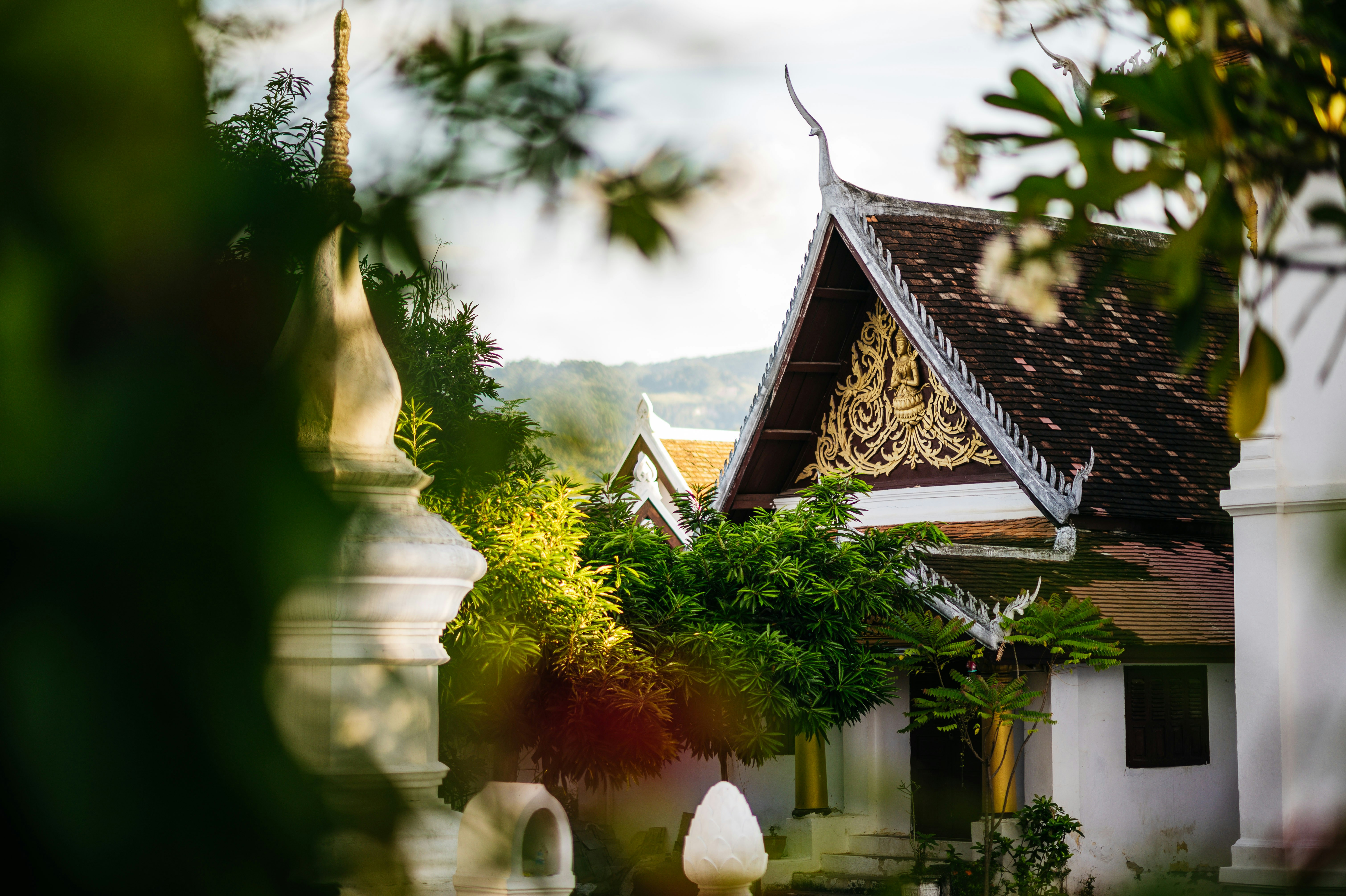 Photo by chuttersnap