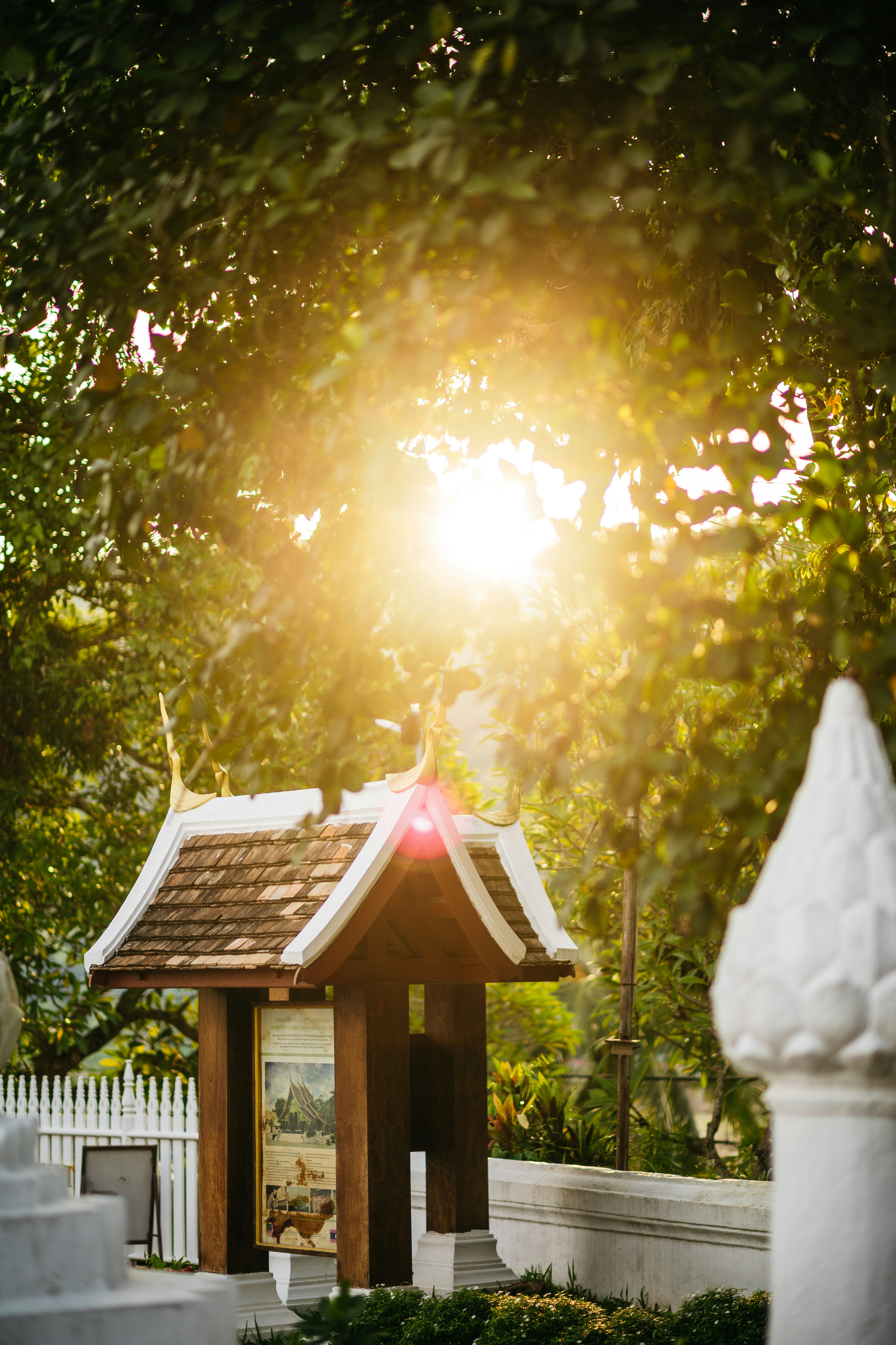 a house with a tree in the back