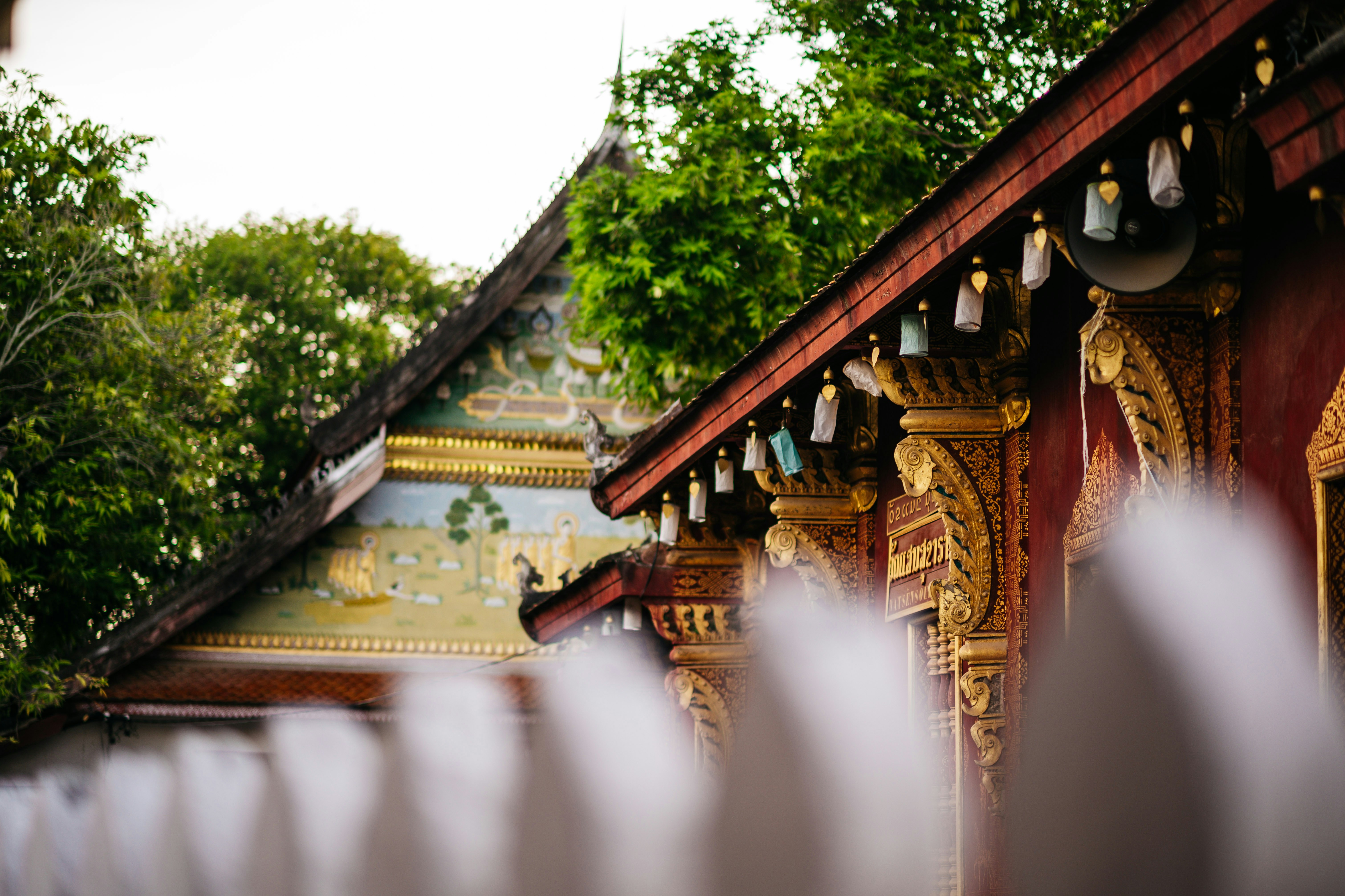 Photo by chuttersnap