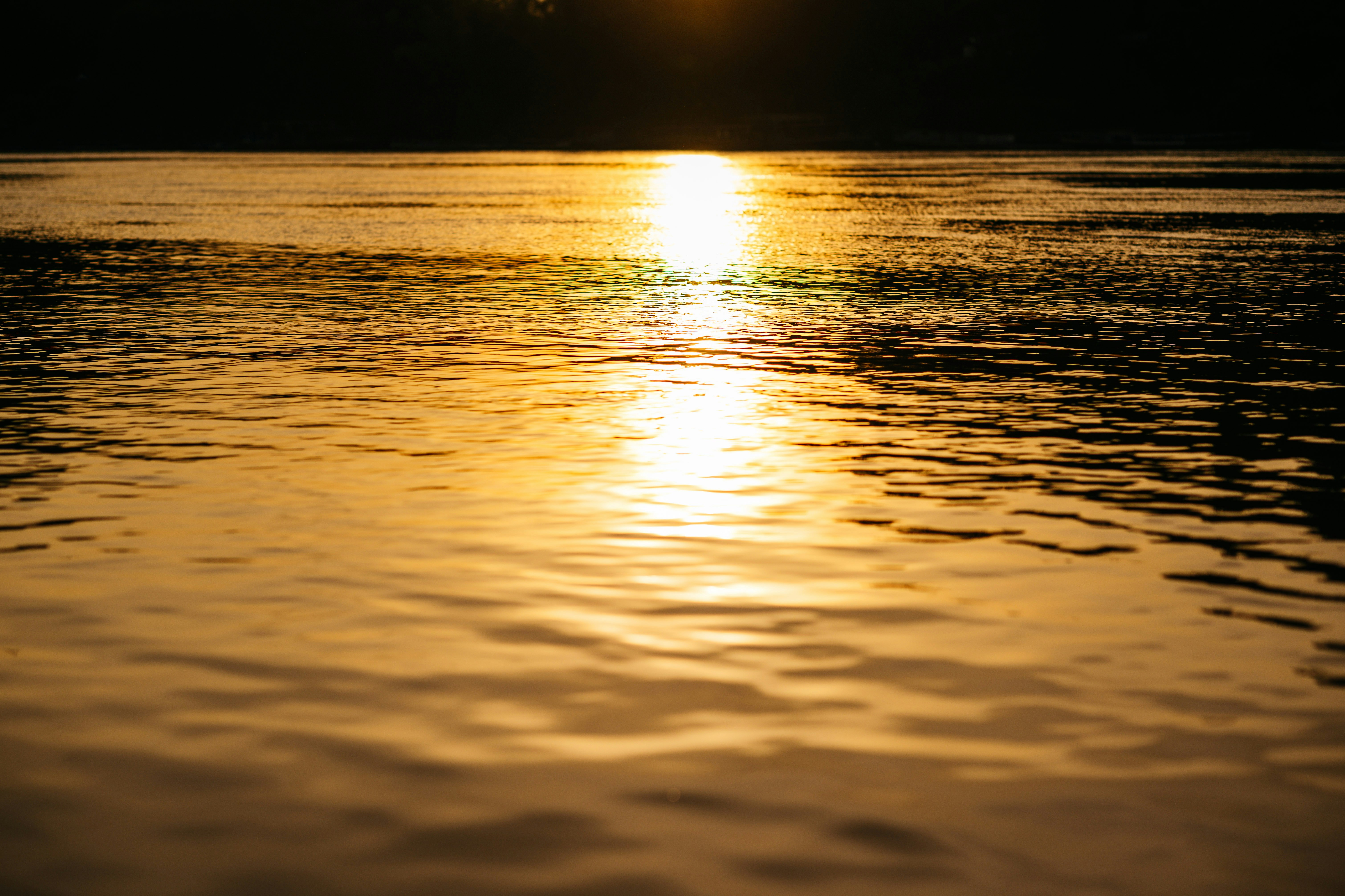 Photo by chuttersnap