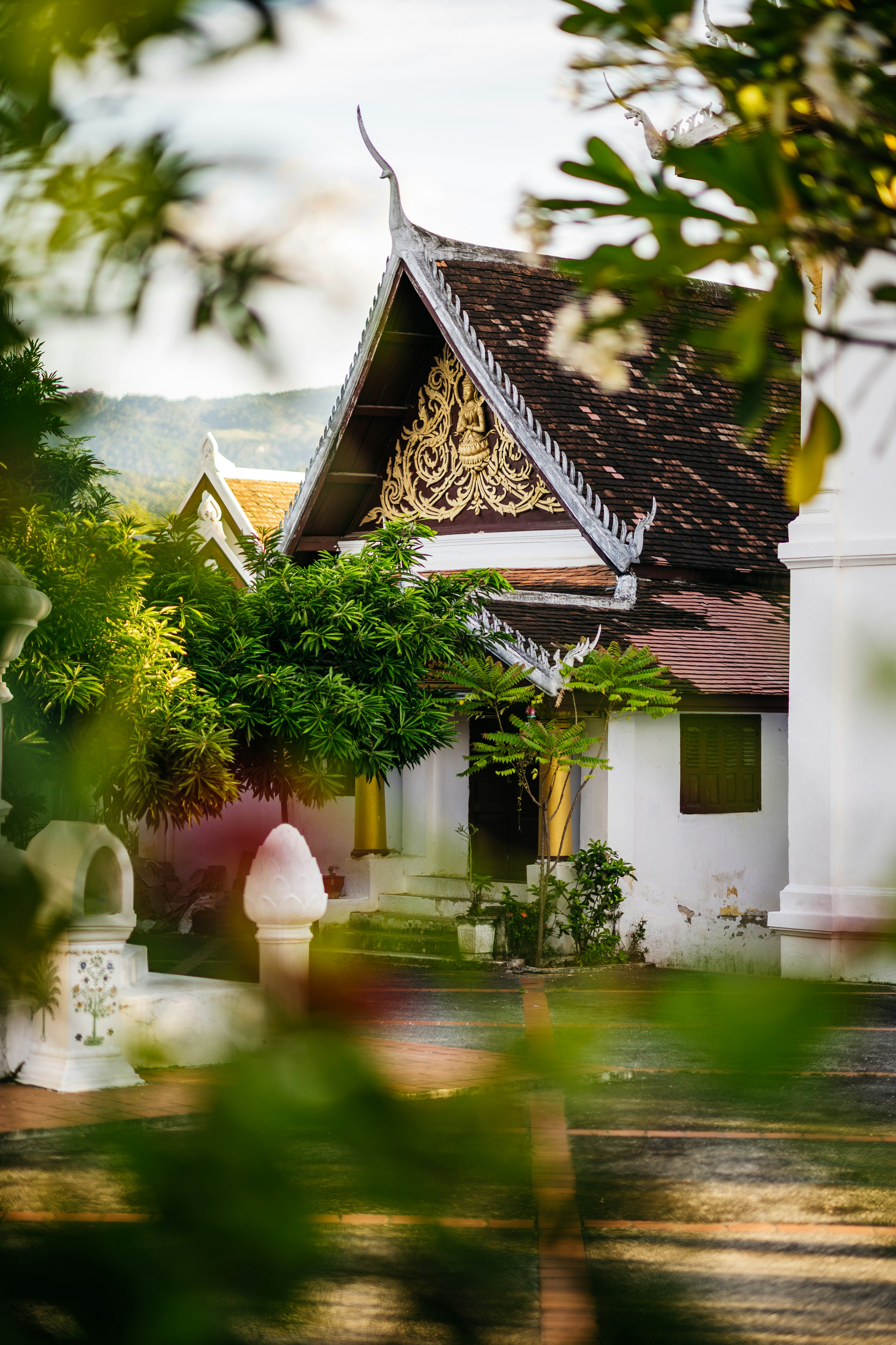 Photo by chuttersnap