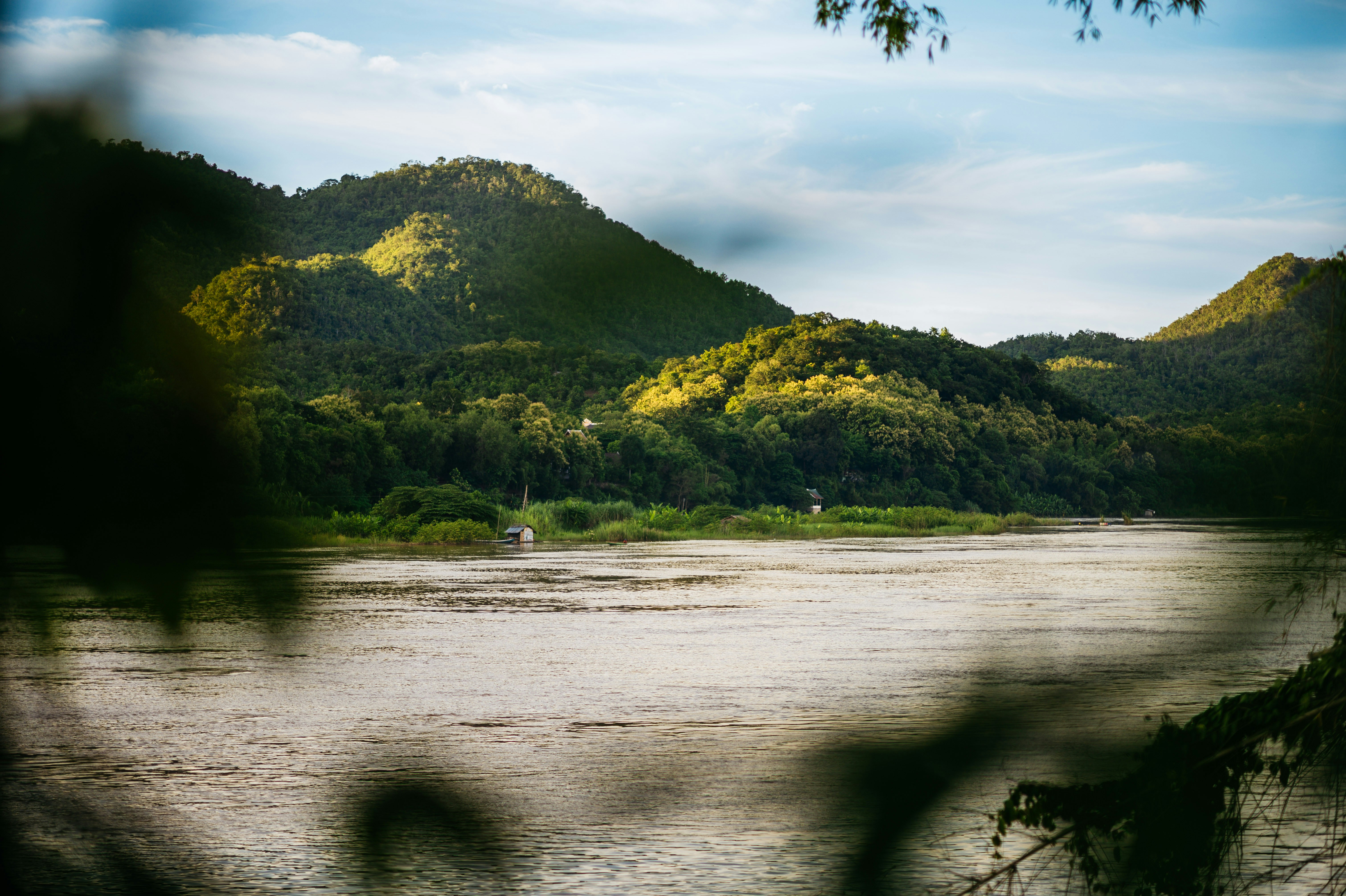 Photo by chuttersnap