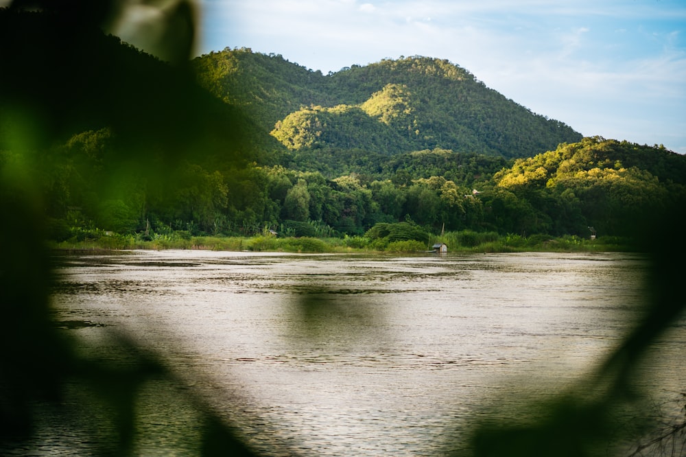 a river with trees and mountains in the background