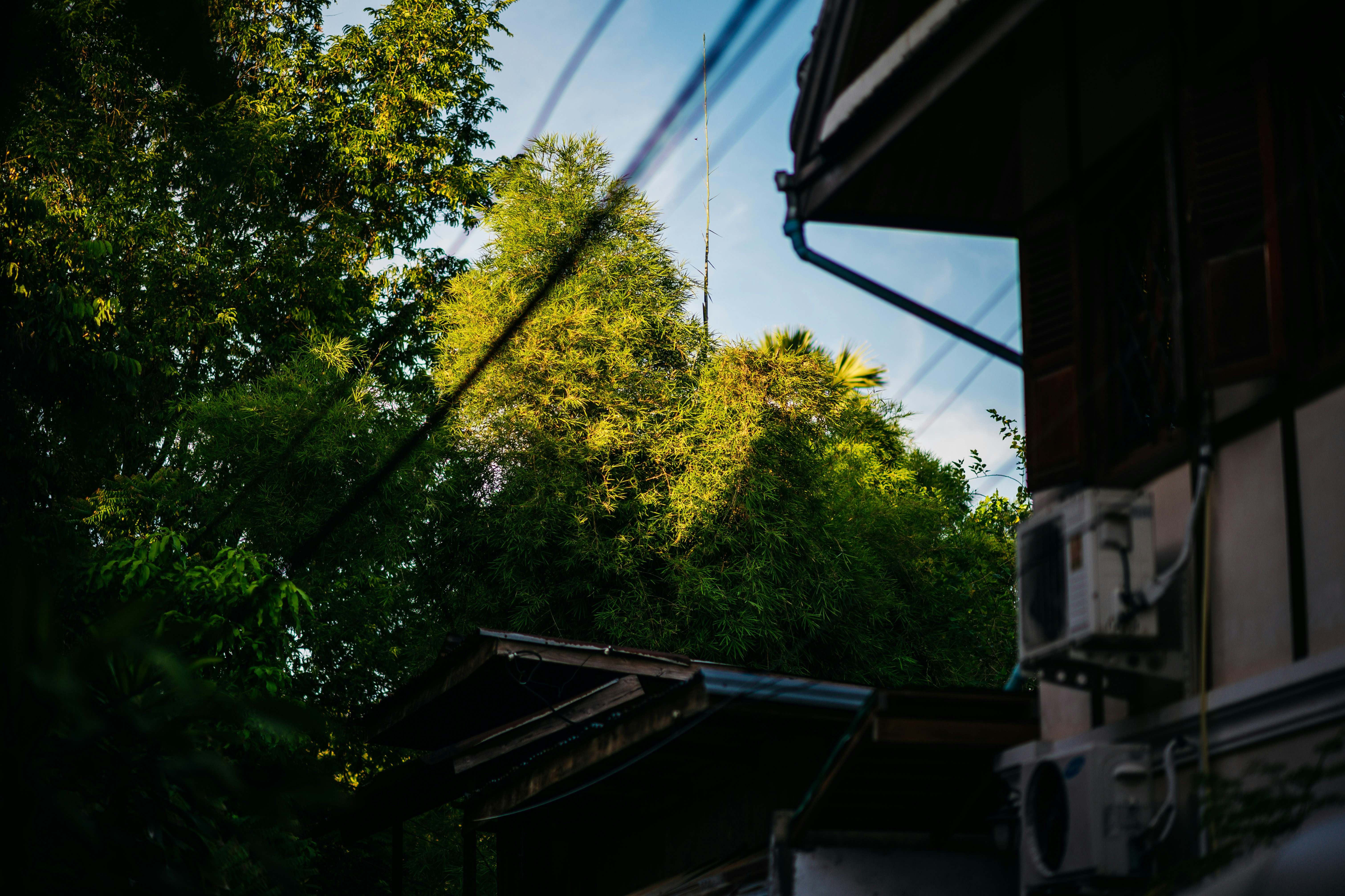 Photo by chuttersnap