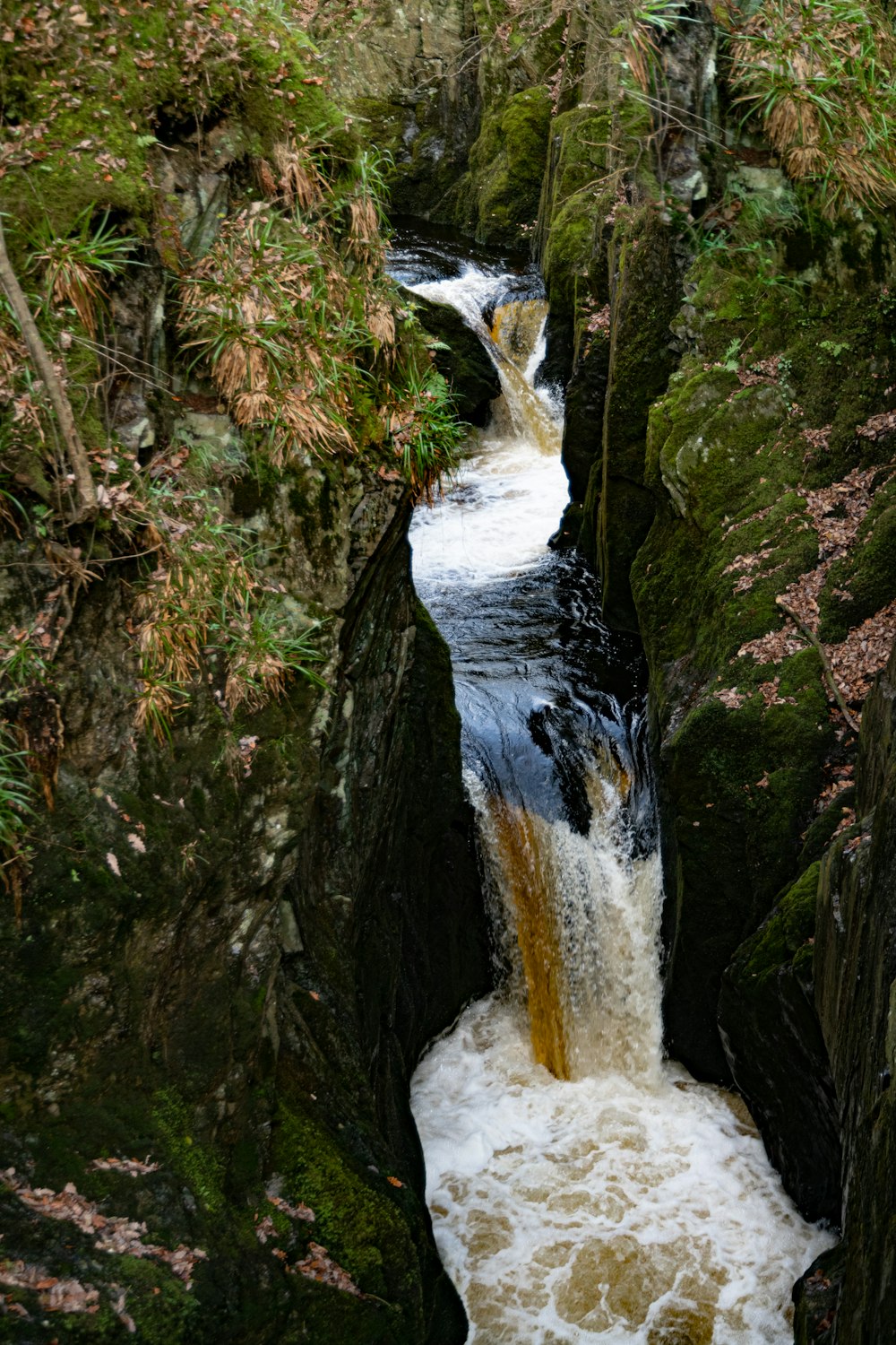 a waterfall in a forest