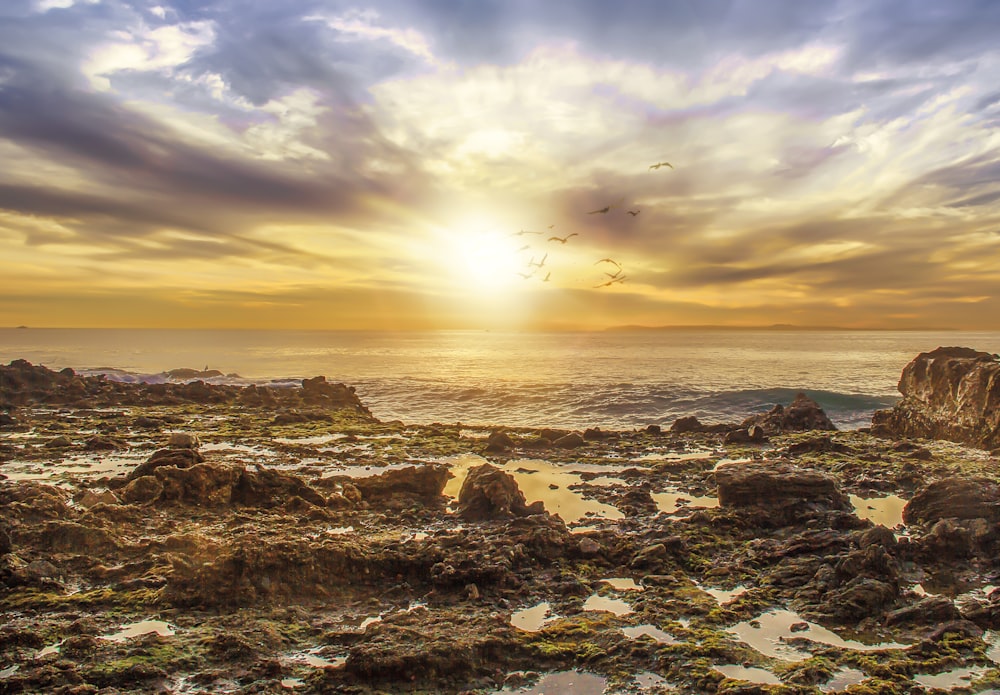 a rocky beach with the sun setting