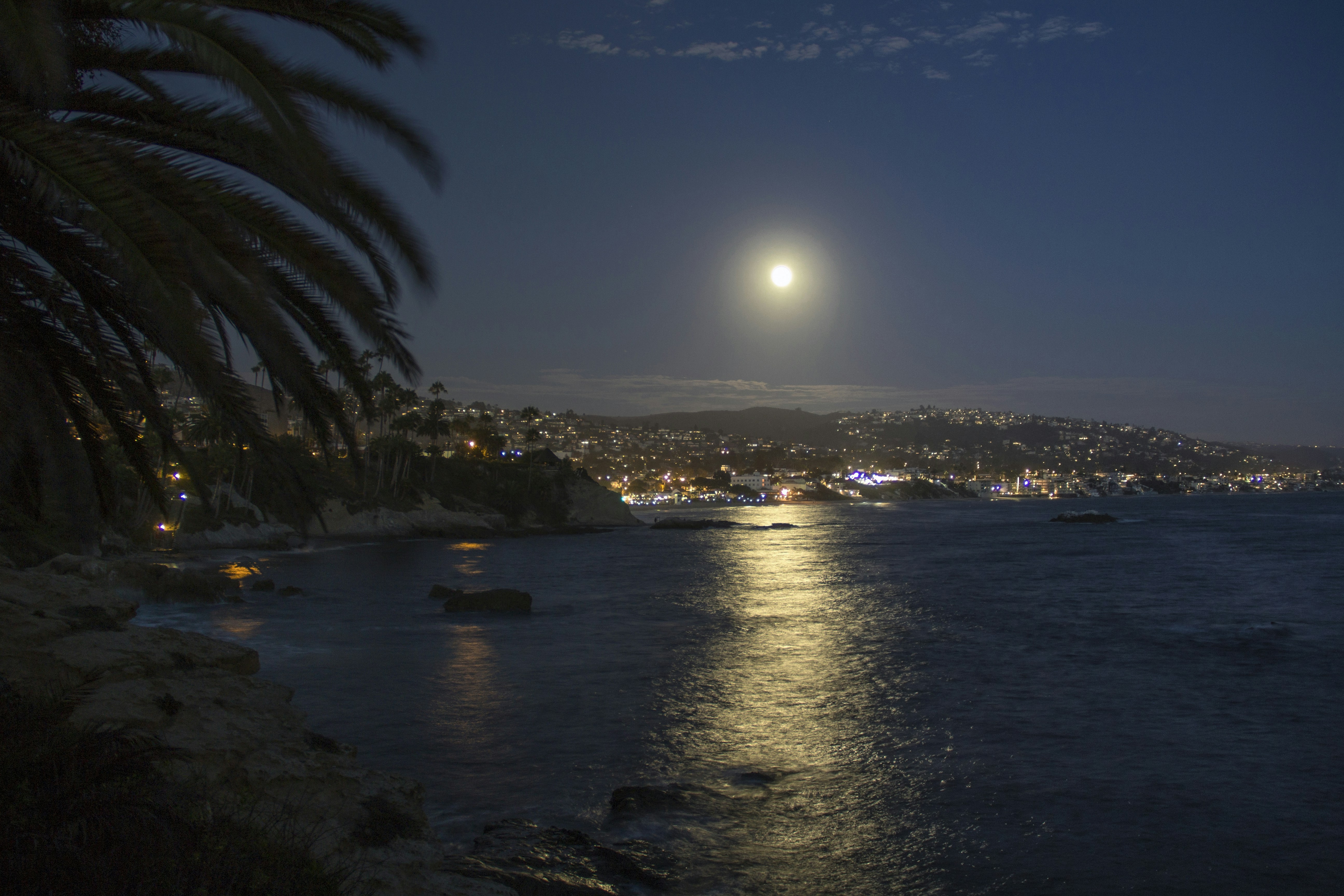 a body of water with a city in the background