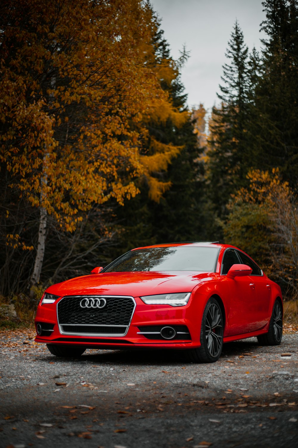 a red sports car parked on a road with trees on either side