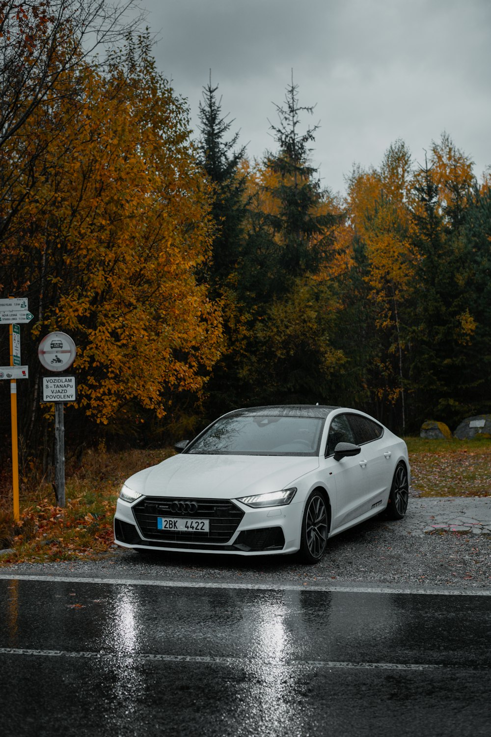 a white car parked on a road with trees on either side