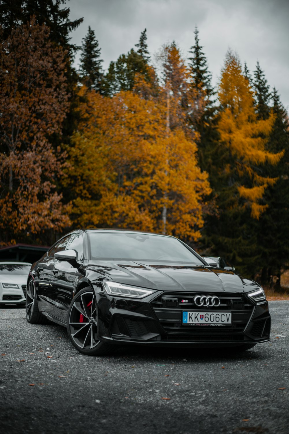 a black sports car parked in front of trees