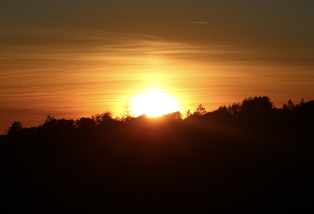 a sunset over trees