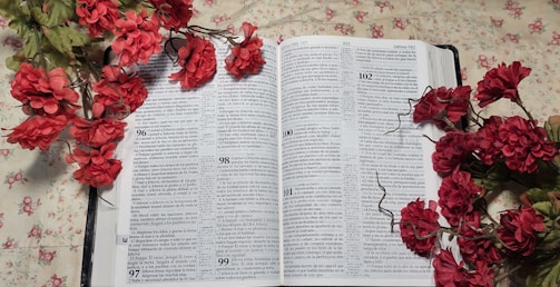 Open book with vivid images and bold red accents on the pages.