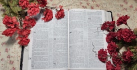 An open book displaying text on both pages with vibrant red flowers placed around it and on the pages. The background consists of a floral patterned fabric.