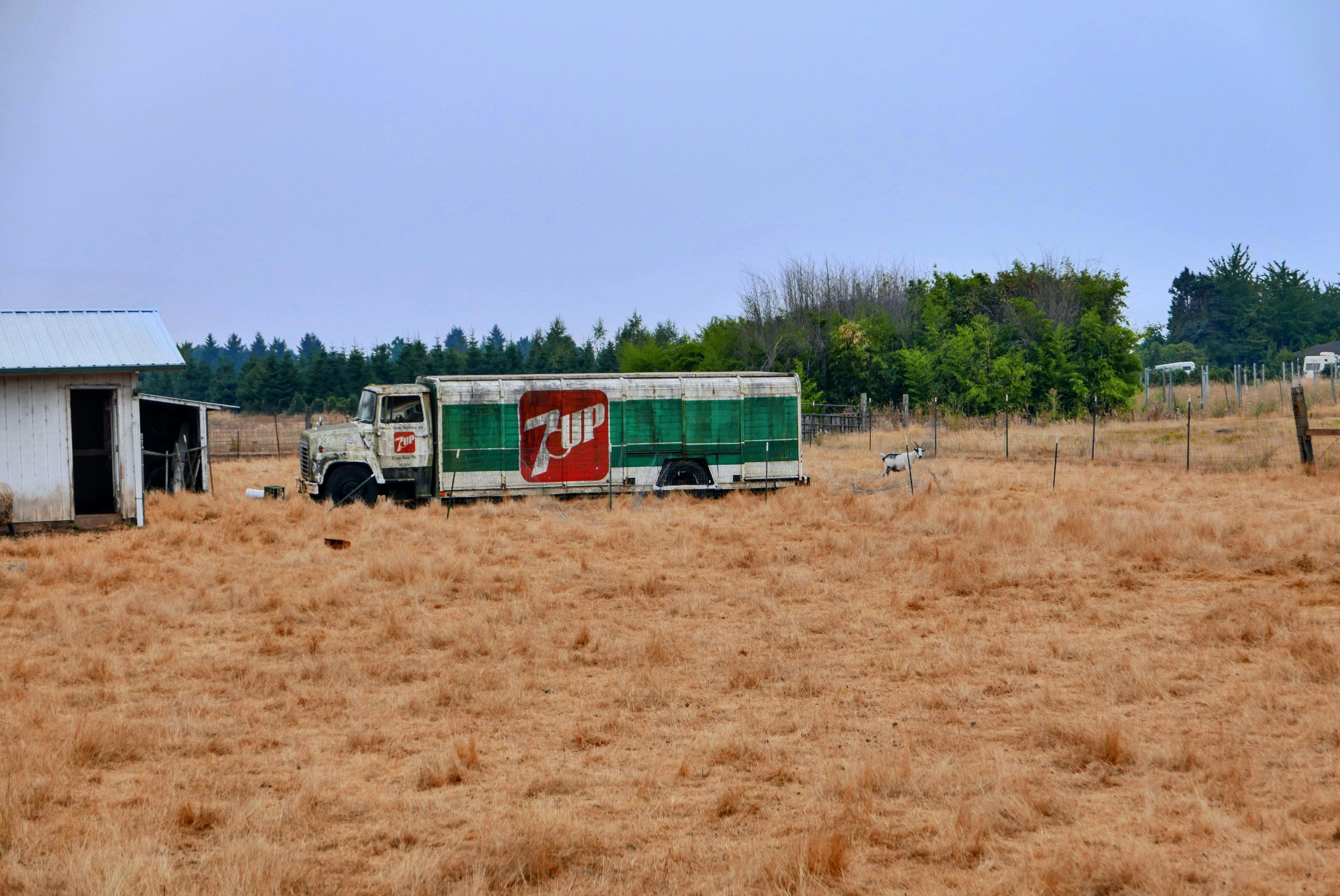 Stimmungsstabilisierer 7 Up