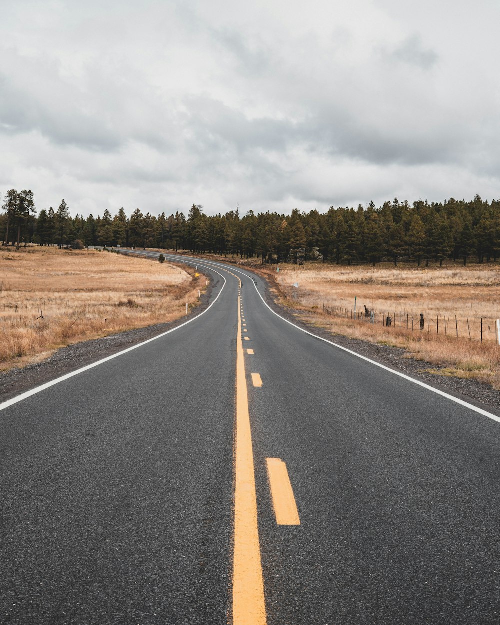 a road with trees on the side