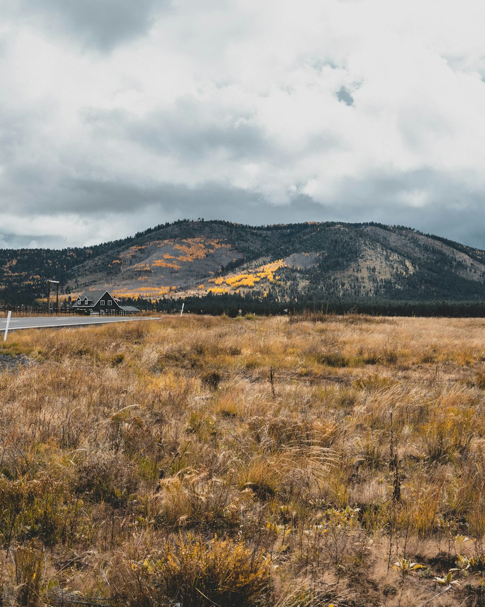 a field with a building in the distance