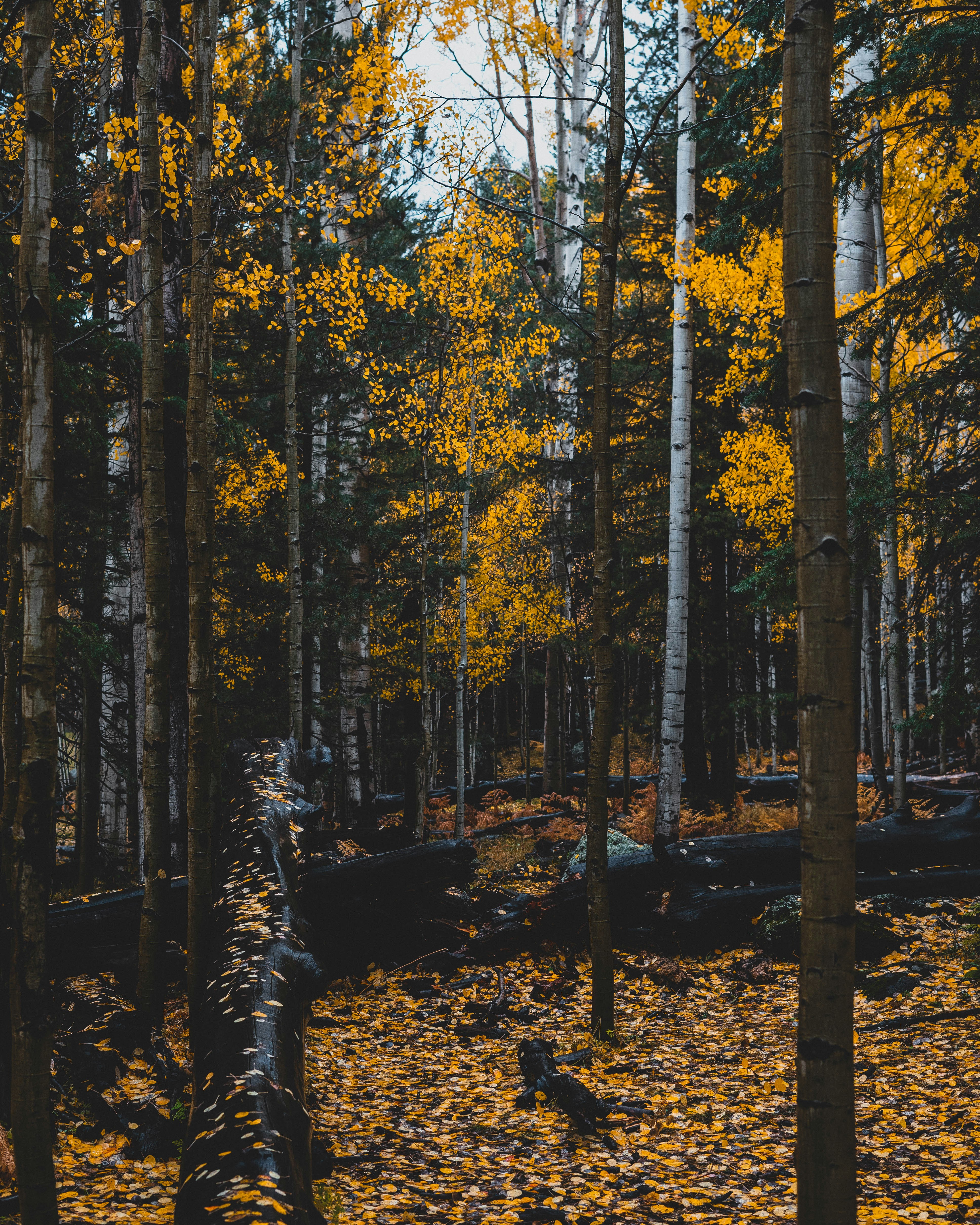 Photo by clayvisuals