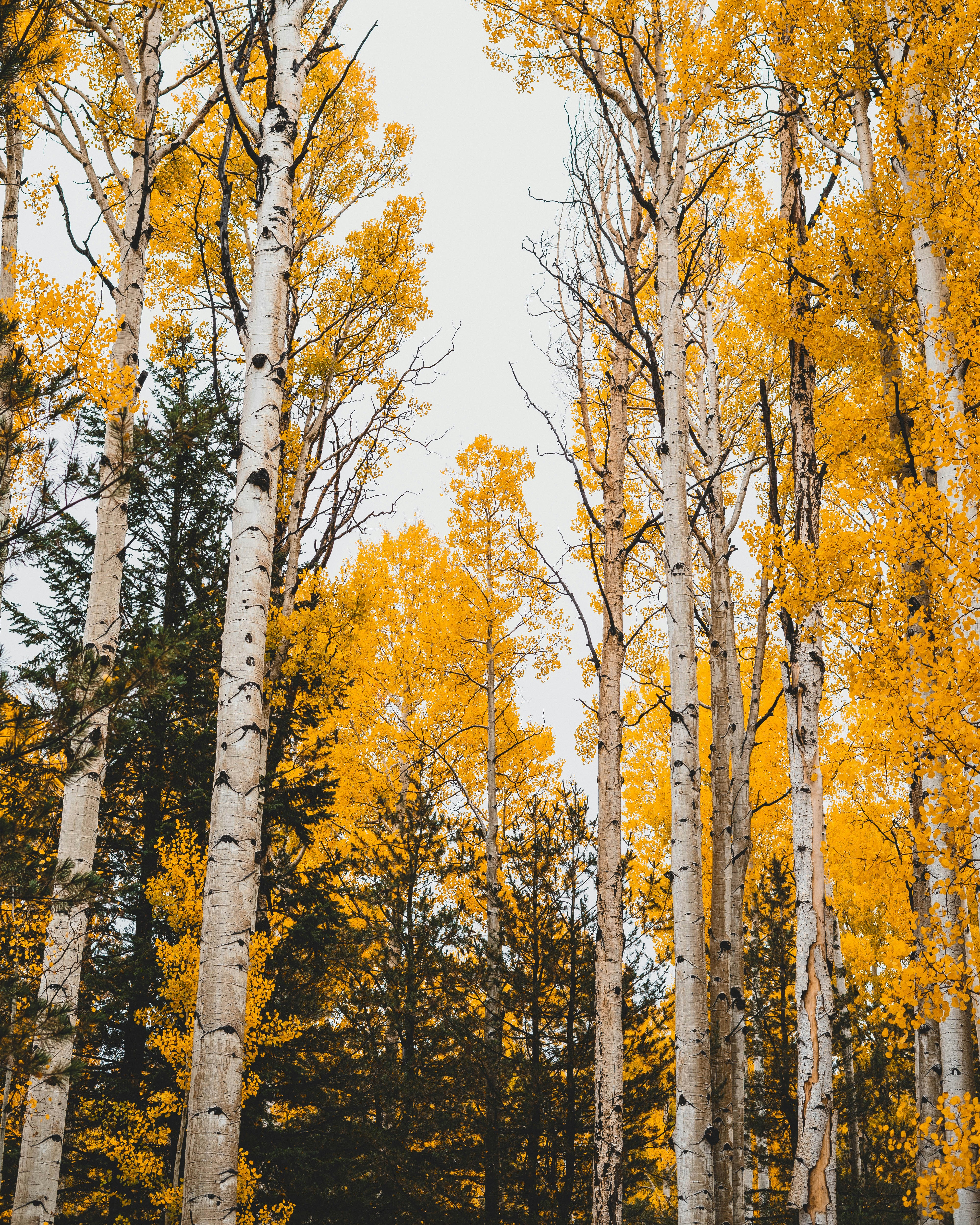 Photo by clayvisuals