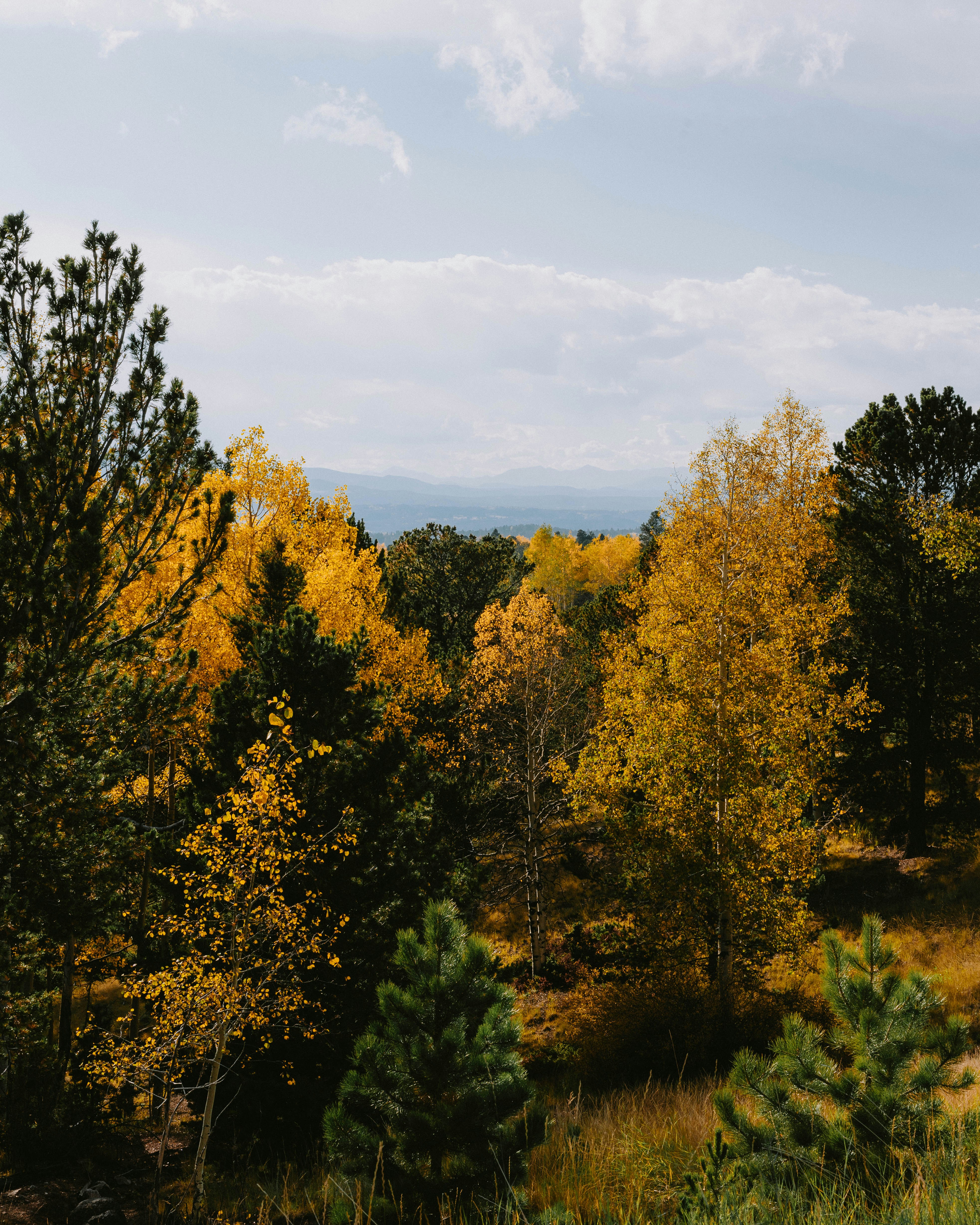 Photo by clayvisuals