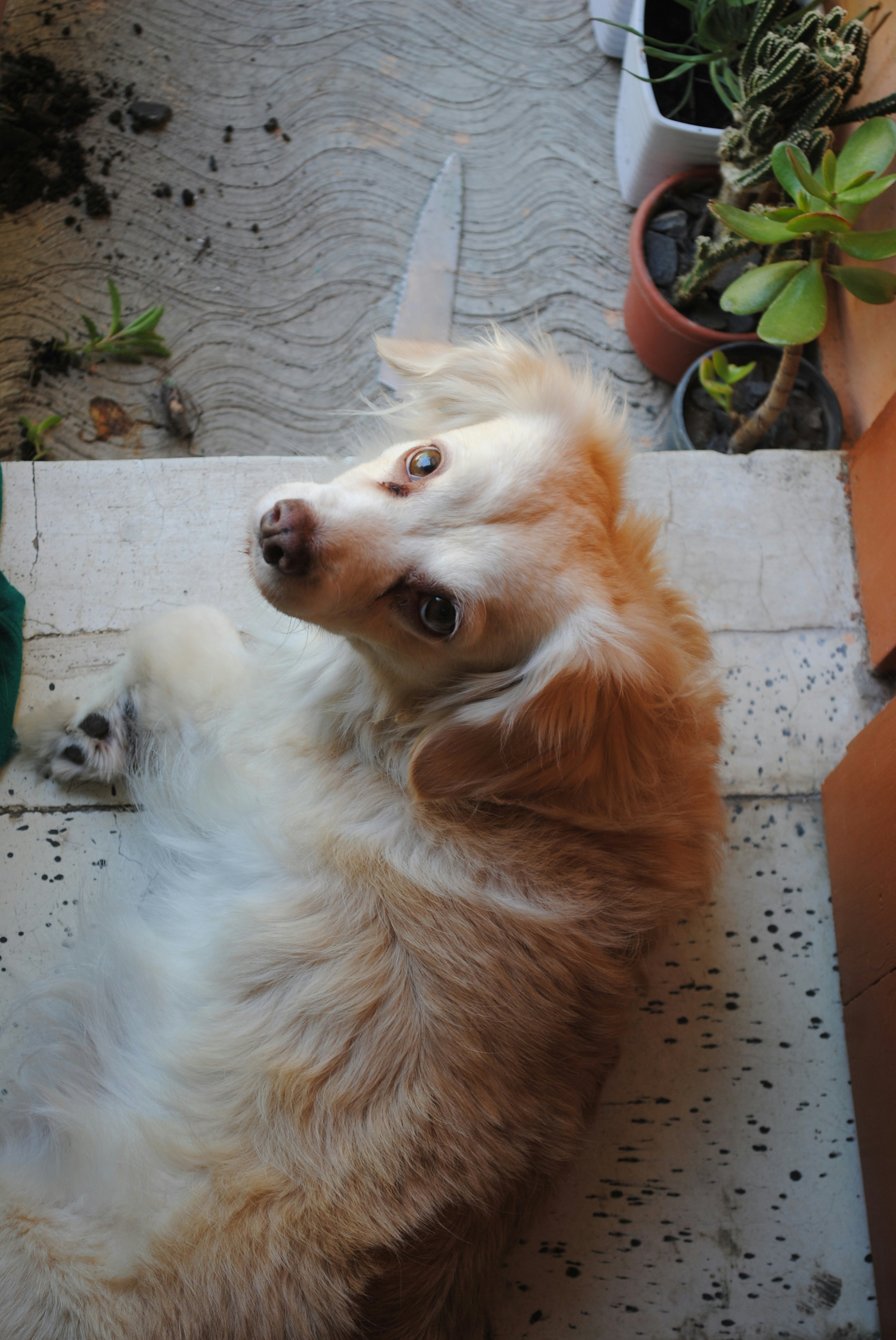 Photo by curiousjorge