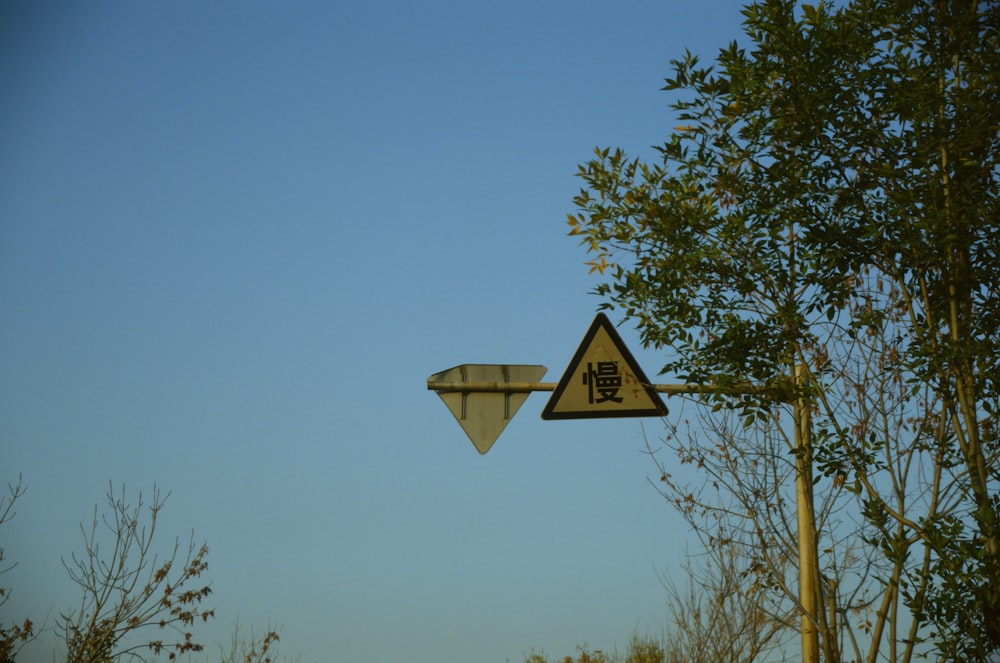 a basketball hoop with a tree in the background