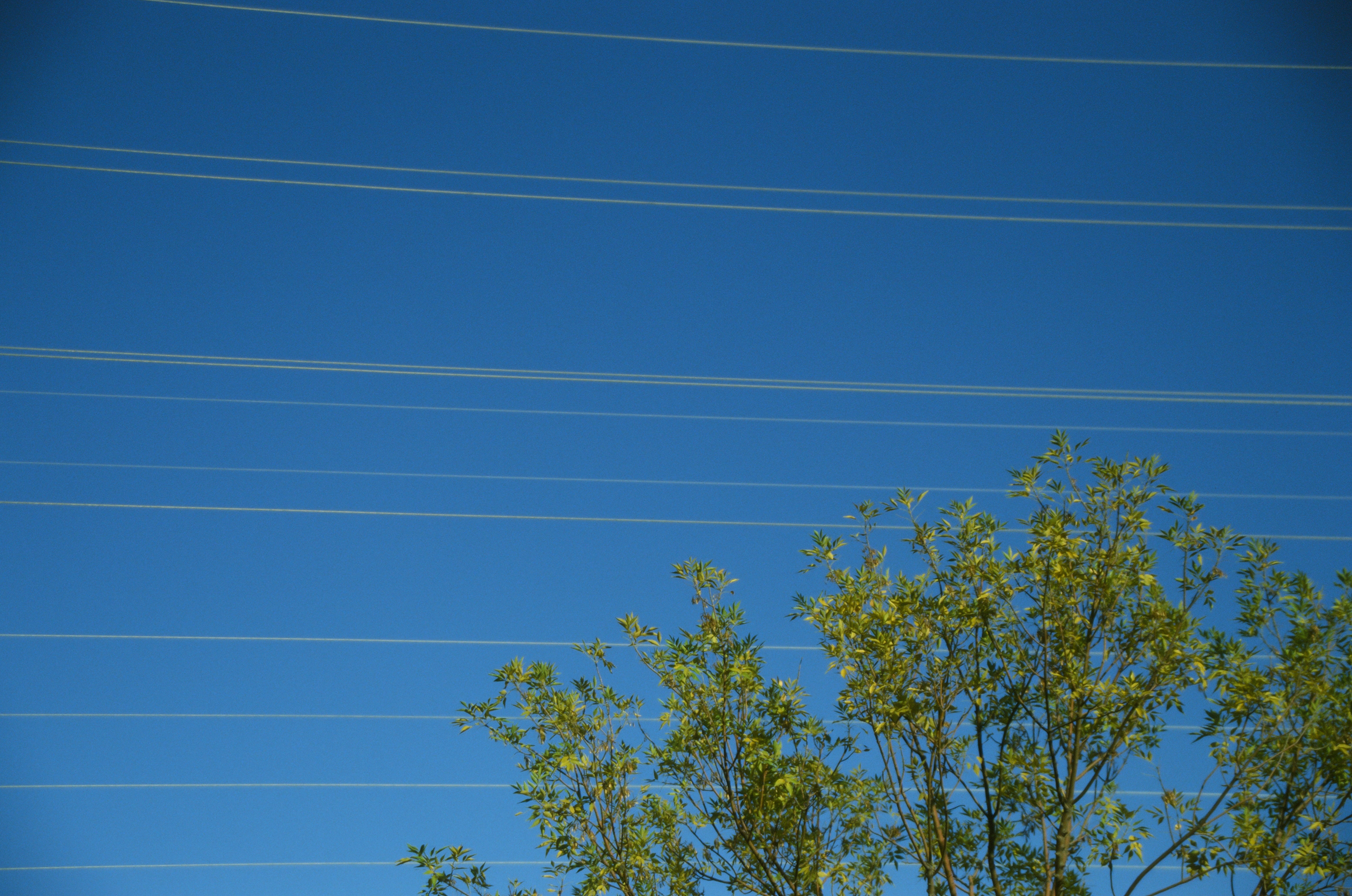 Photo by greedwolf97