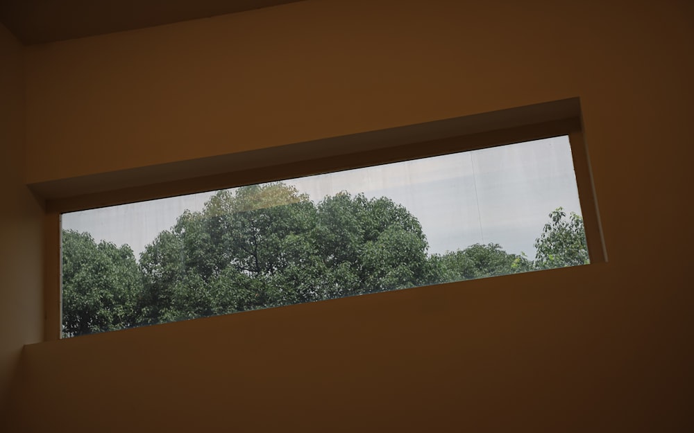 a window with trees outside