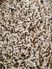 A large pile of unshelled peanuts, tightly packed together. The peanuts have a rough, textured shell, exhibiting a range of light to medium brown tones.
