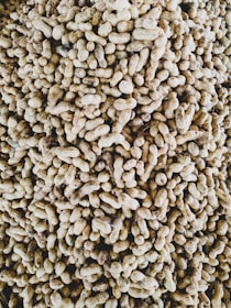 A large pile of unshelled peanuts, tightly packed together. The peanuts have a rough, textured shell, exhibiting a range of light to medium brown tones.
