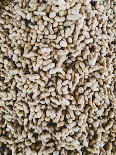 A large pile of unshelled peanuts, tightly packed together. The peanuts have a rough, textured shell, exhibiting a range of light to medium brown tones.