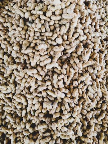 A large pile of unshelled peanuts, tightly packed together. The peanuts have a rough, textured shell, exhibiting a range of light to medium brown tones.