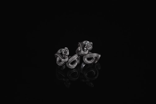 A pair of intricately designed silver rings featuring intertwining, snake-like patterns is set against a black background. The highly detailed metalwork includes textured surfaces that reflect light in various ways, adding depth and character to the pieces.