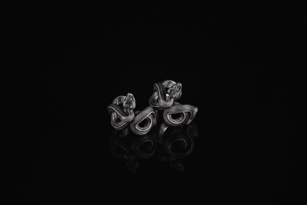 A pair of intricately designed silver rings featuring intertwining, snake-like patterns is set against a black background. The highly detailed metalwork includes textured surfaces that reflect light in various ways, adding depth and character to the pieces.