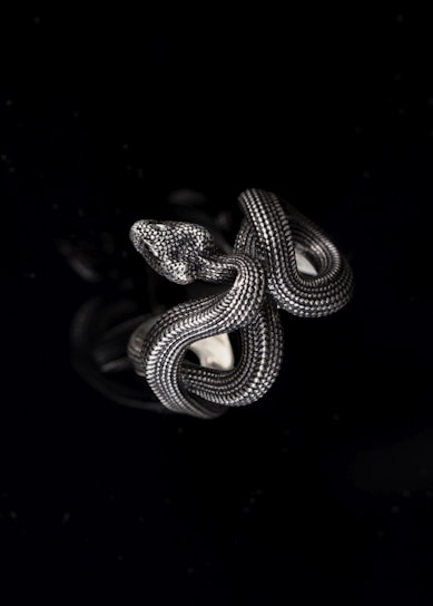 a black and white photo of a silver and black spiral