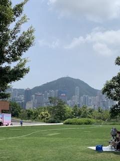 A family enjoying a picnic on the green lawns of Zhongshan Park with city skyline in the background.
