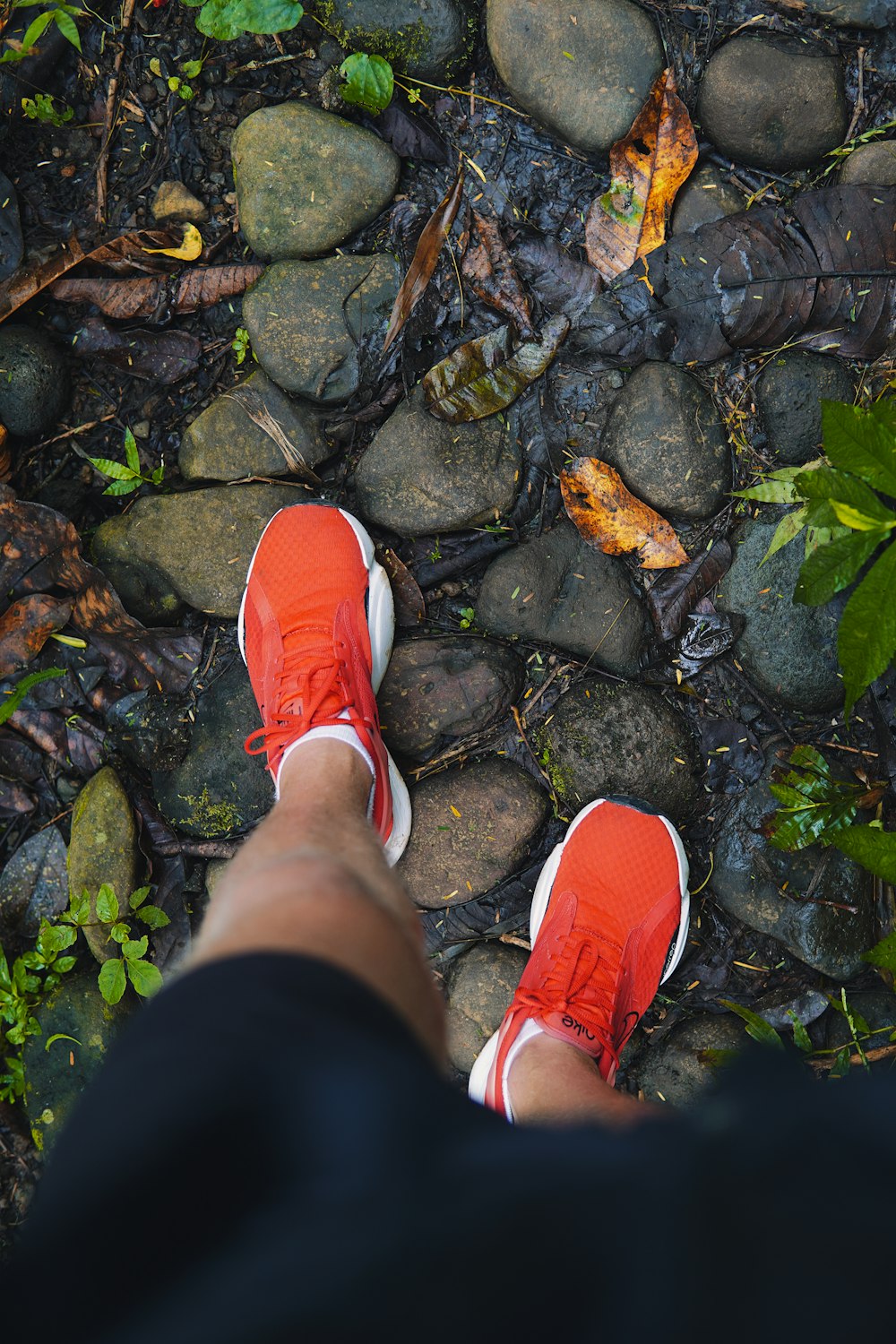 a person's feet on a rocky surface